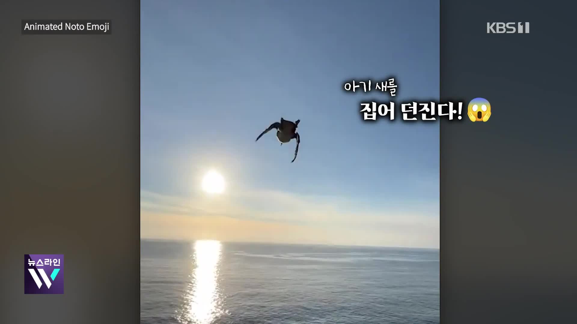 [오늘의 영상] 절벽 밑으로 아기 새를 집어 던지는 경비대의 정체