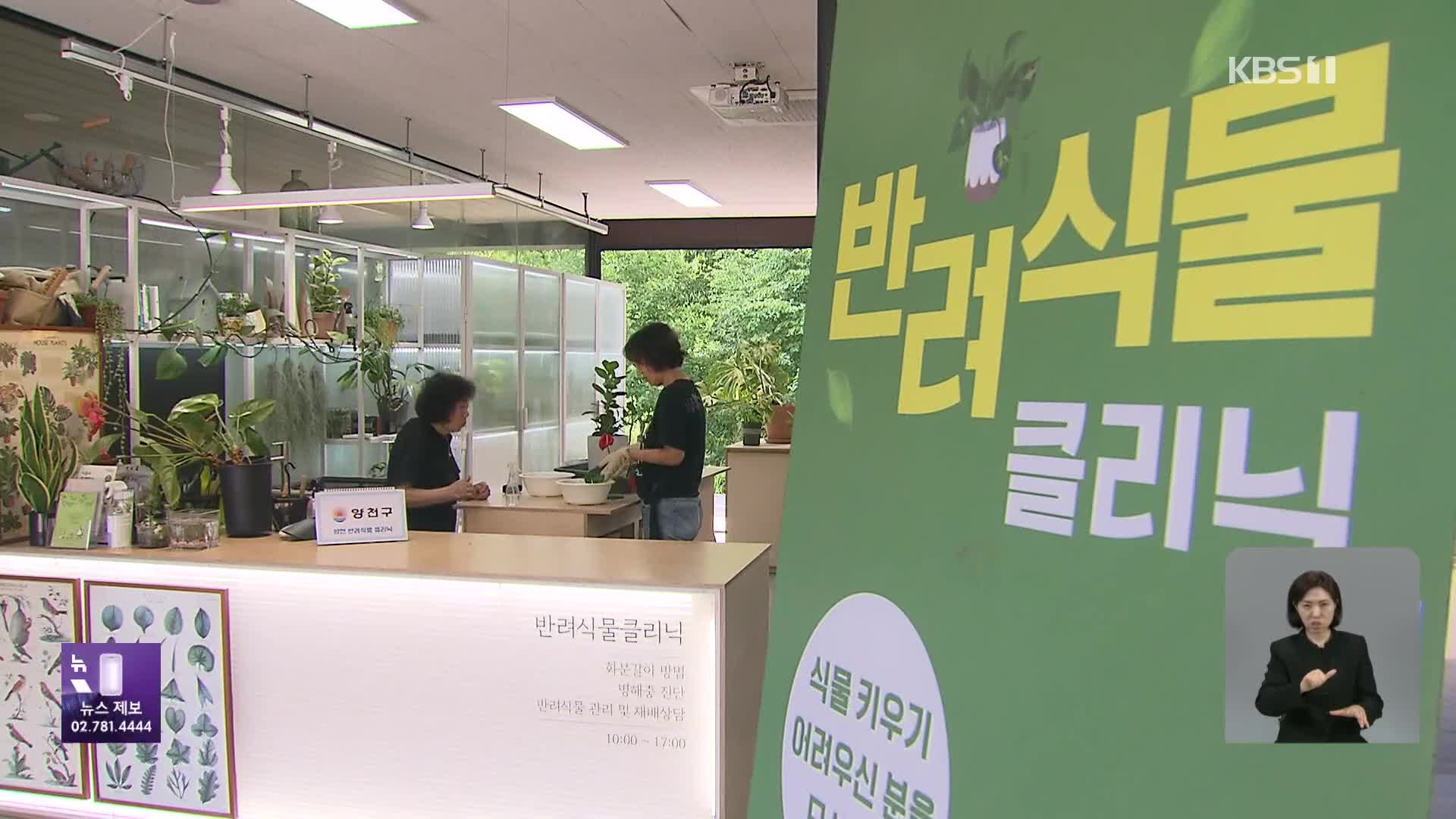 “아픈 식물 치료합니다!”…반려식물로 우울감 해소