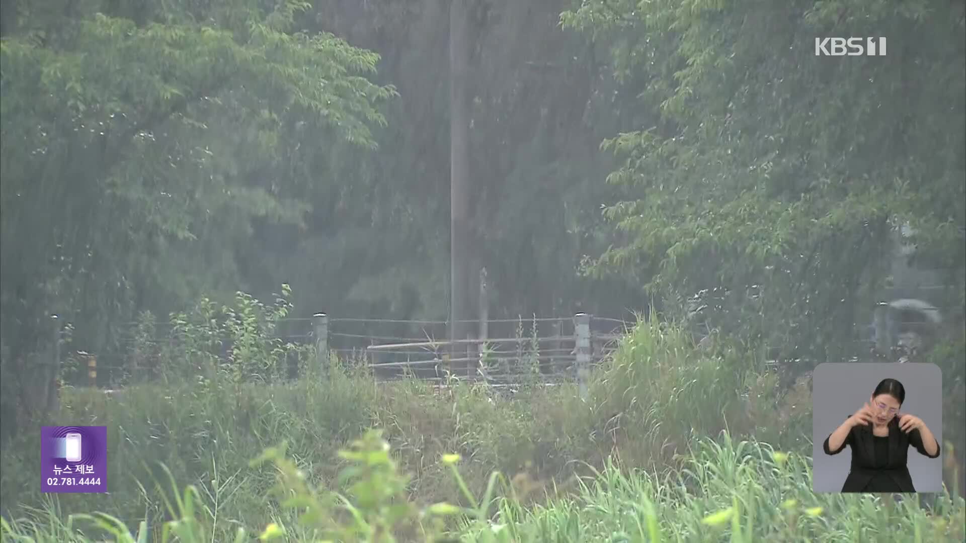 밤새 남부 중심 시간당 최대 50mm 국지성 호우