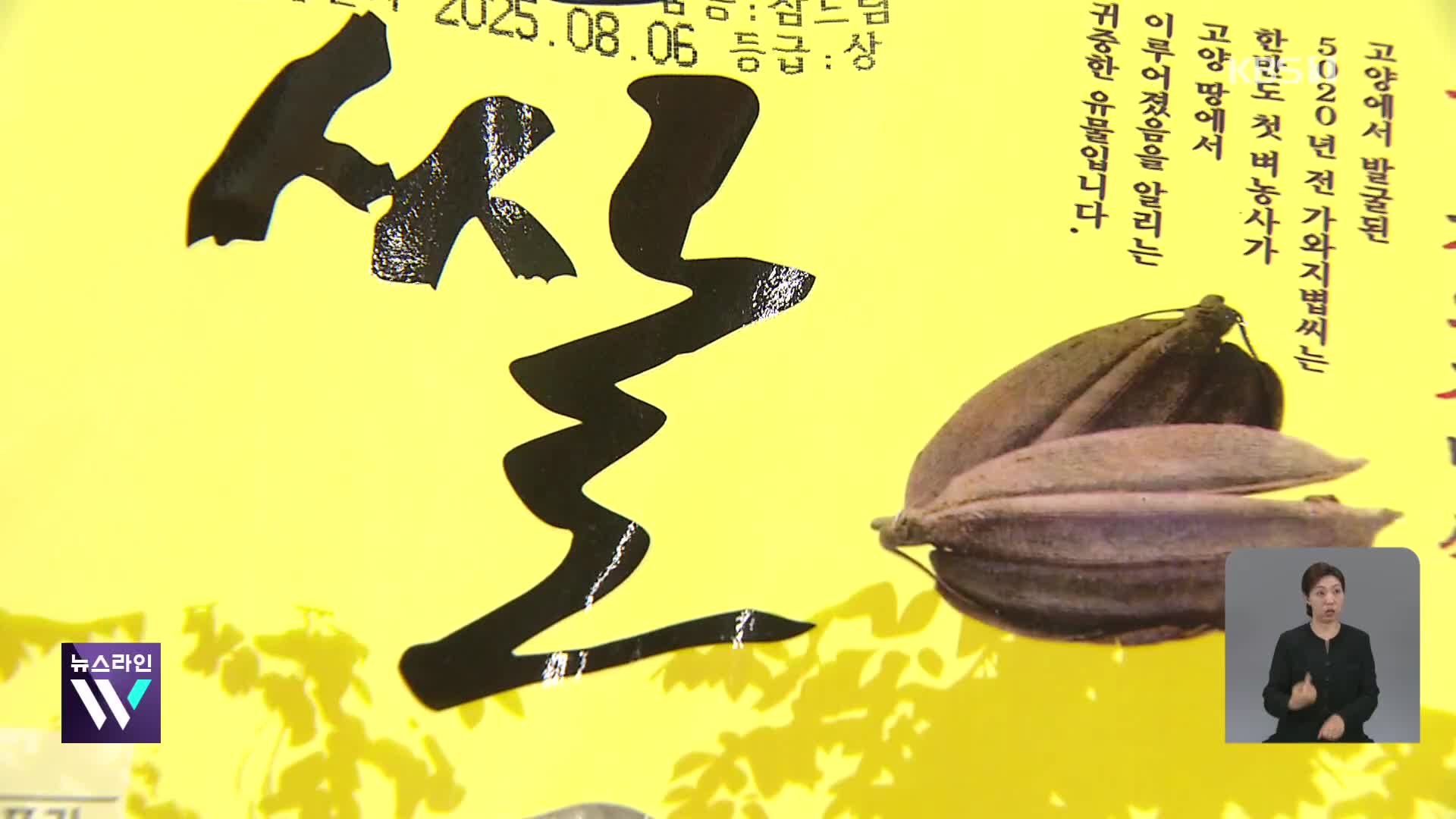 “쌀값 6만 원?” 급격한 상승에 사상 첫 “양곡 대여”