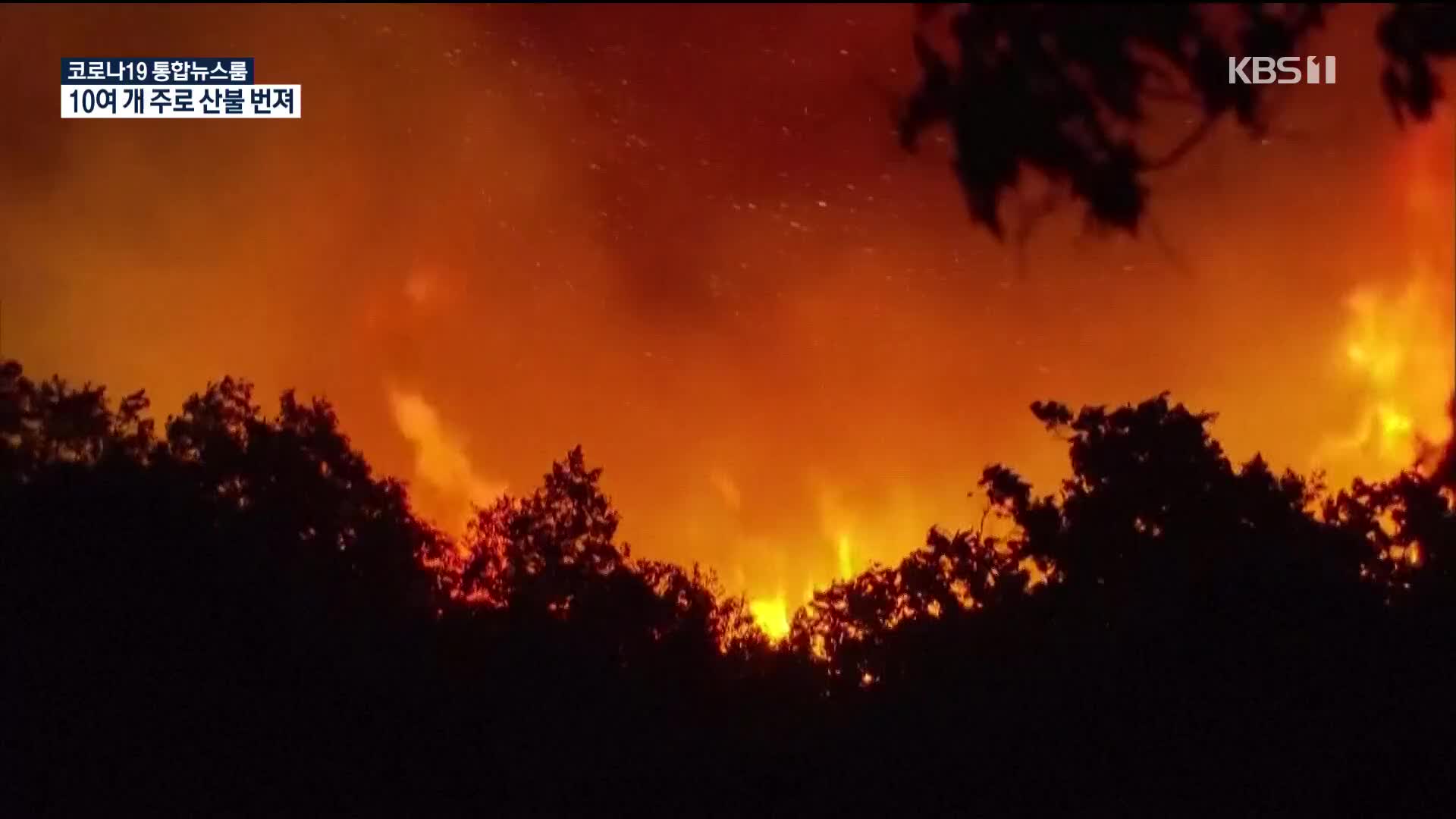 美 산불로 대기질 최악…트럼프, 애먼 ‘산림 관리’ 탓