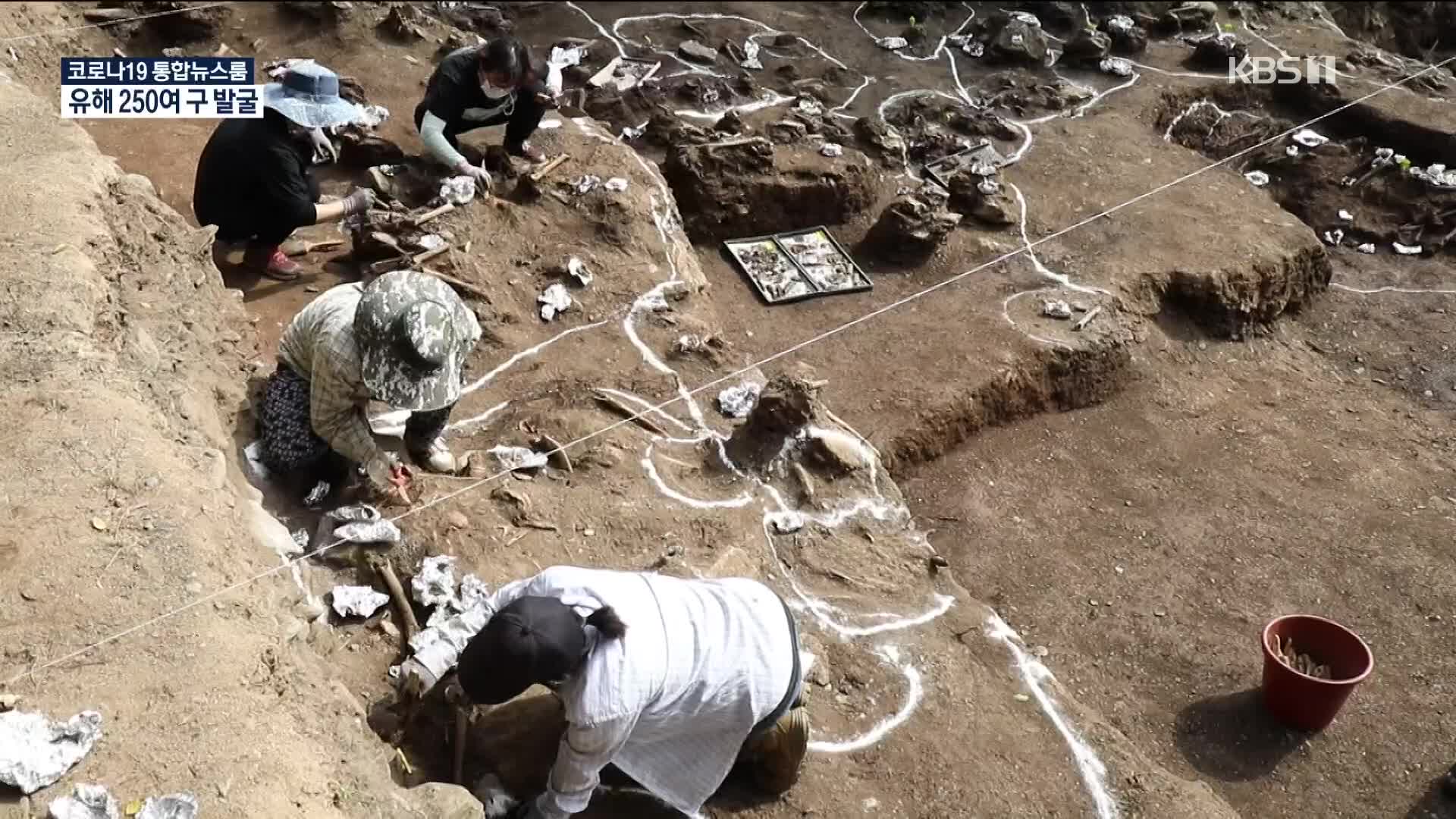 산내 골령골 민간인 학살 유해 250여 구 추가 발굴