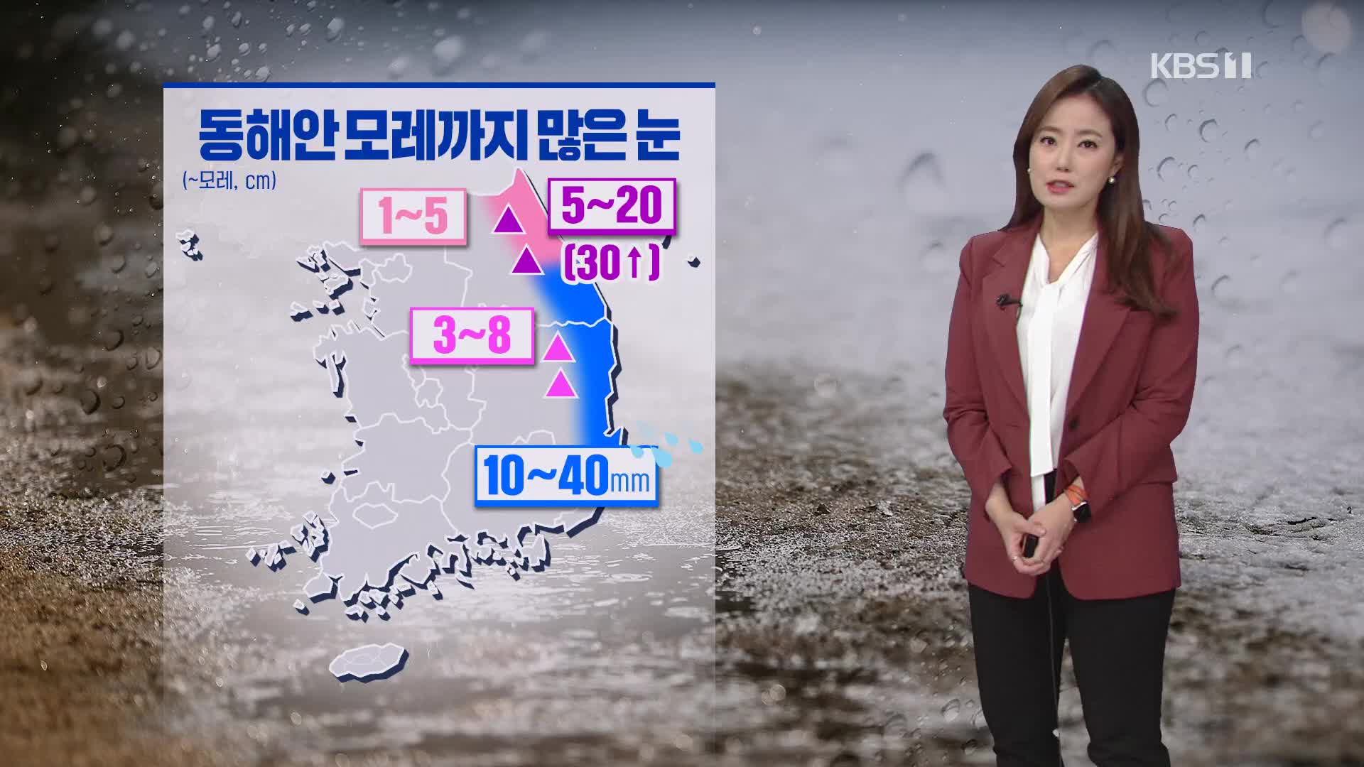 [날씨] 내일 남부 비…동해안 비·큰 눈, 최고 30cm