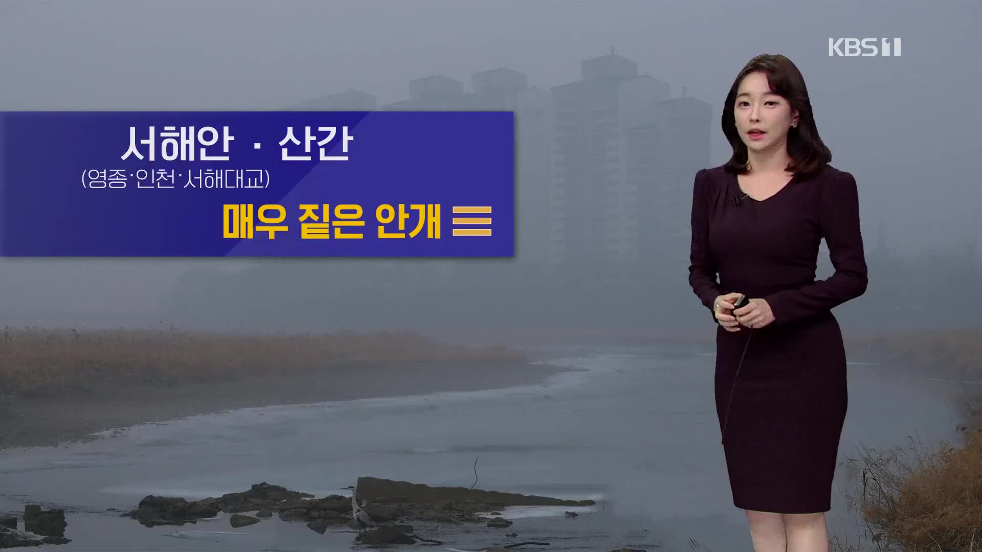 [날씨] 내일 짙은 안개…수도권·충청에 미세먼지 농도↑