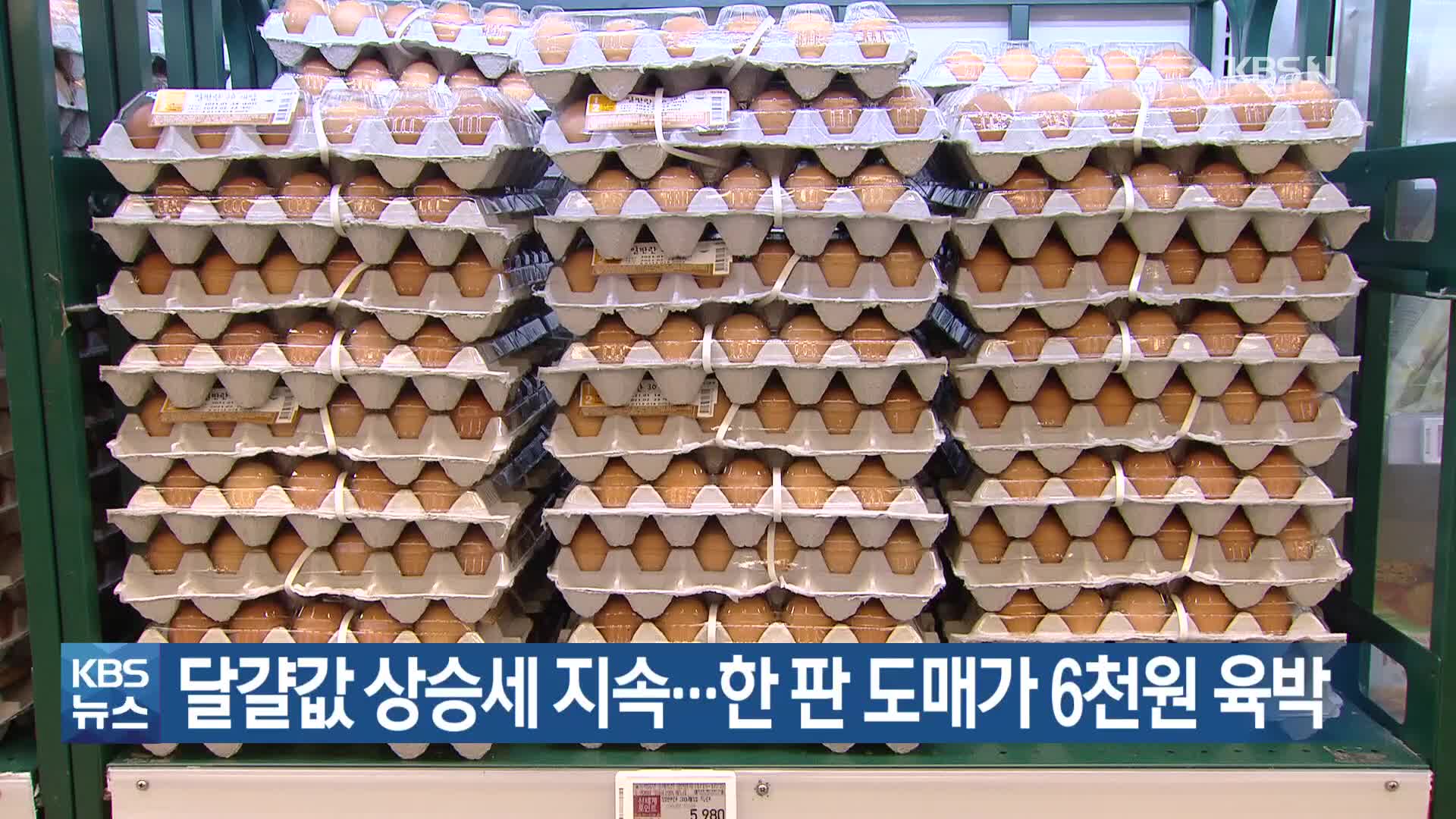 달걀값 상승세 지속…한 판 도매가 6천원 육박
