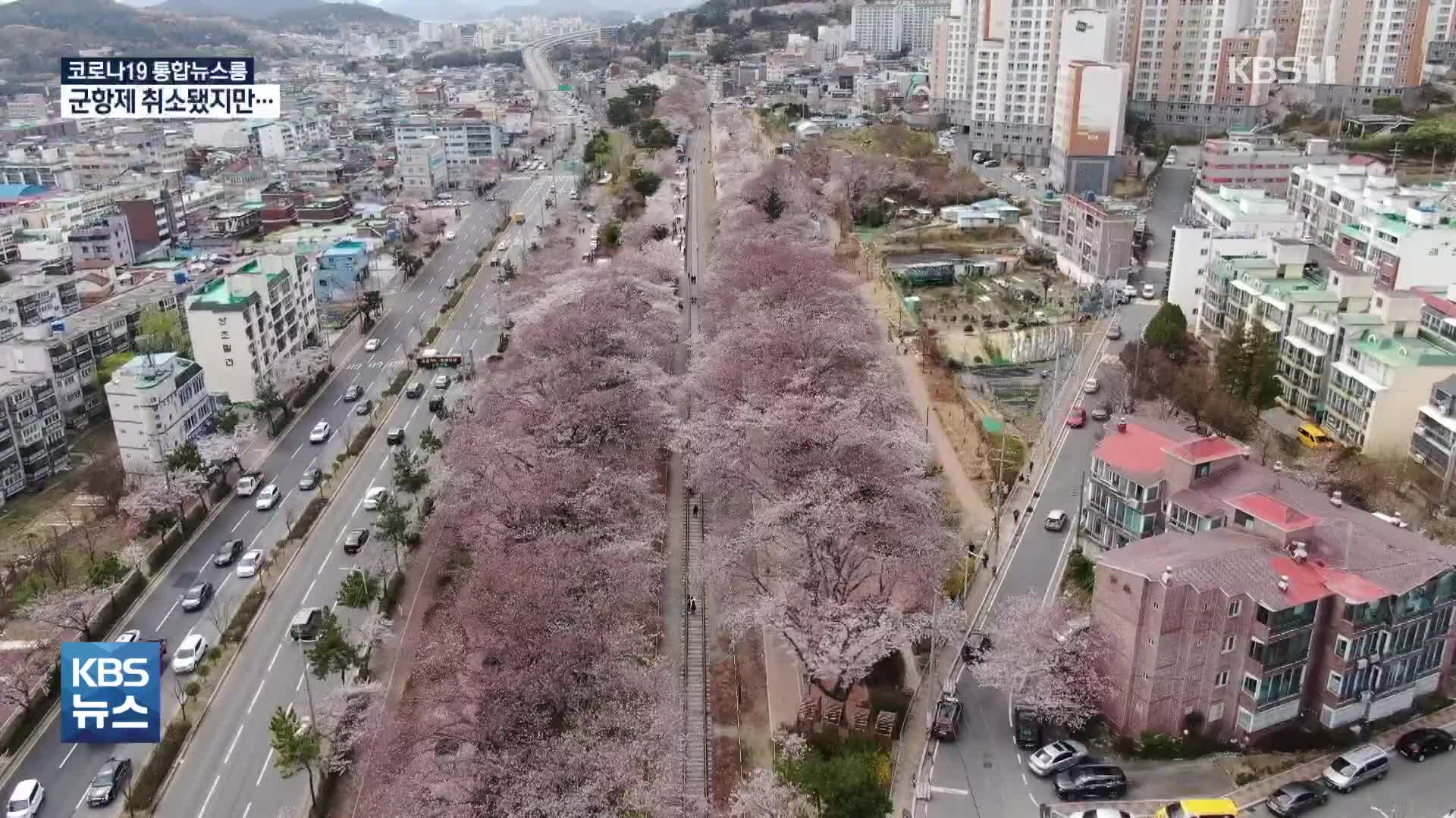 군항제 취소됐지만 밀려드는 상춘객…방역 어쩌나?