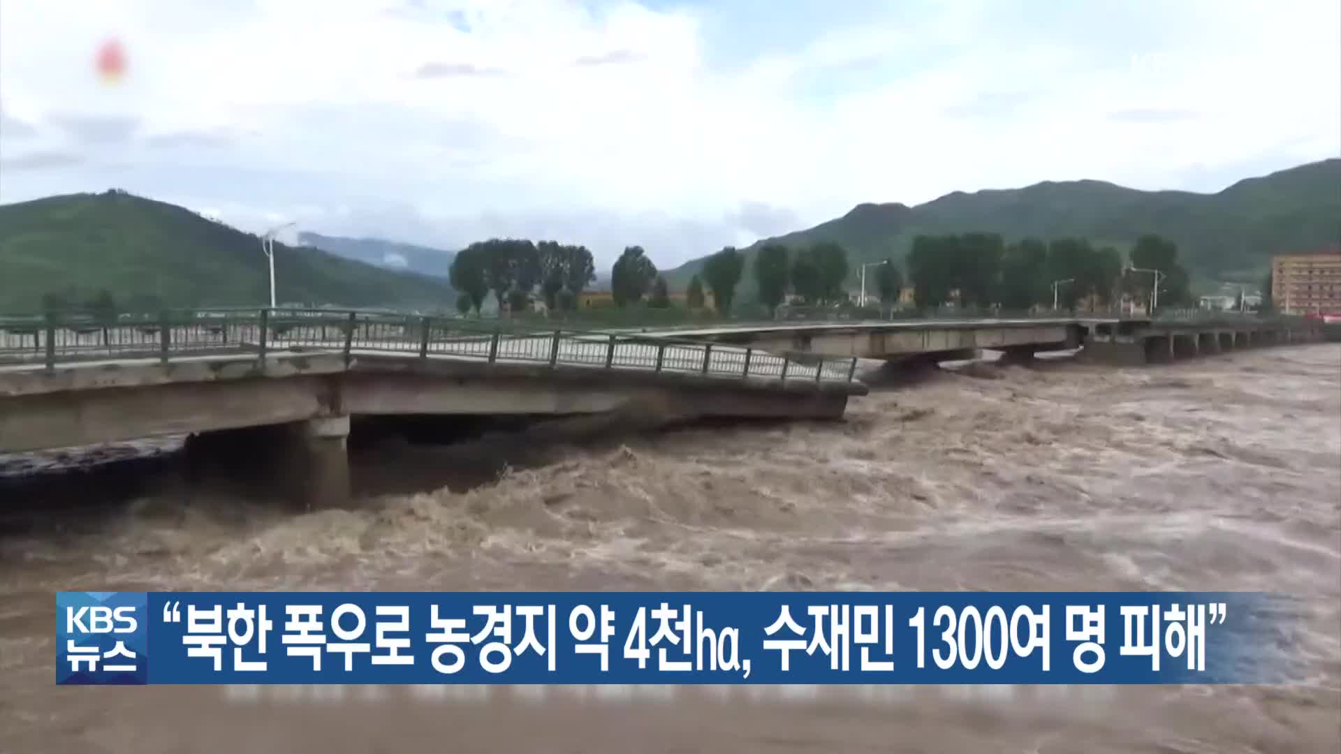 “북한 폭우로 농경지 약 4천㏊, 수재민 1300여 명 피해”
