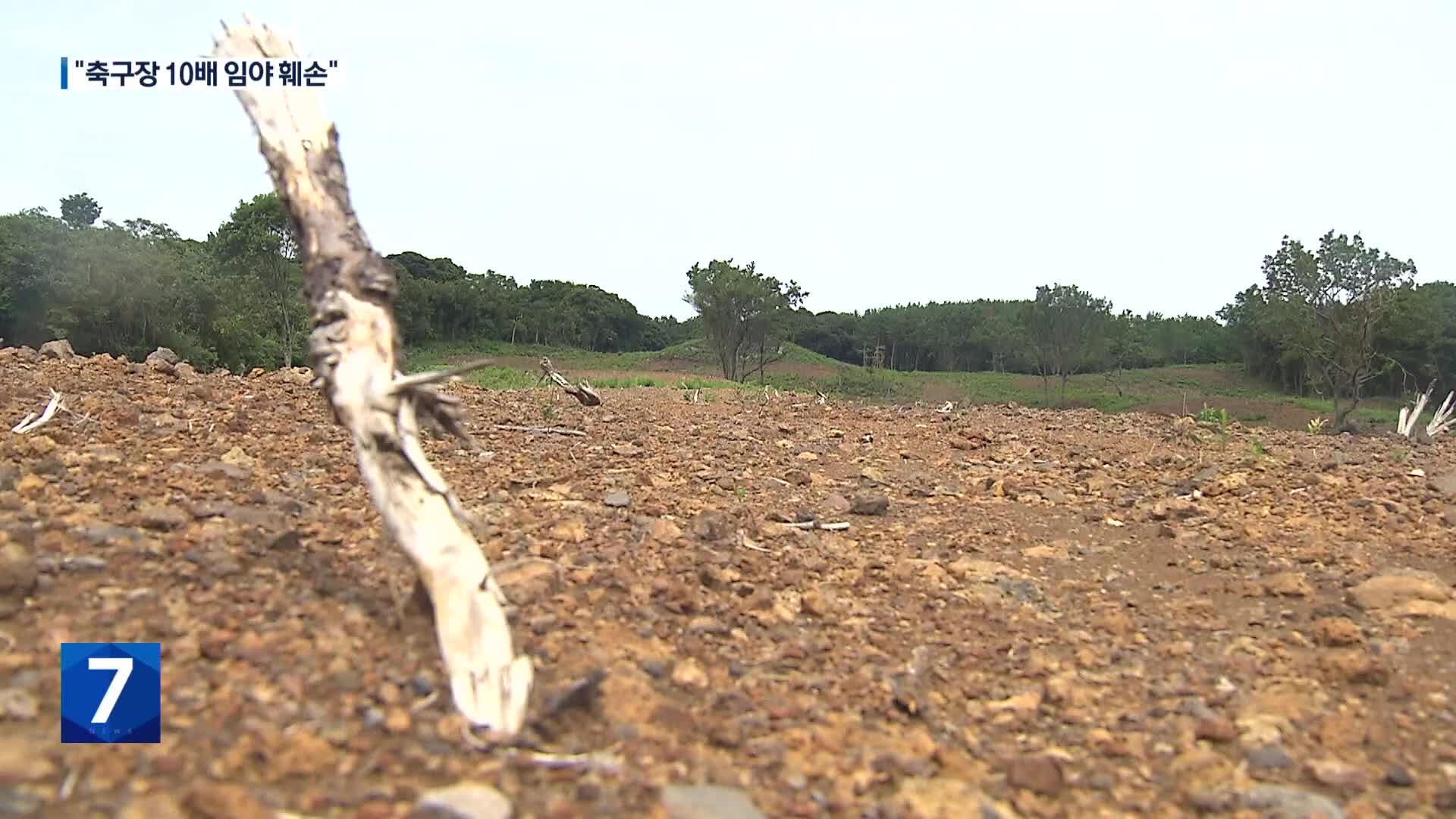 ‘축구장 10배’ 세계자연유산 일대 훼손…“땅값 차익 노려”