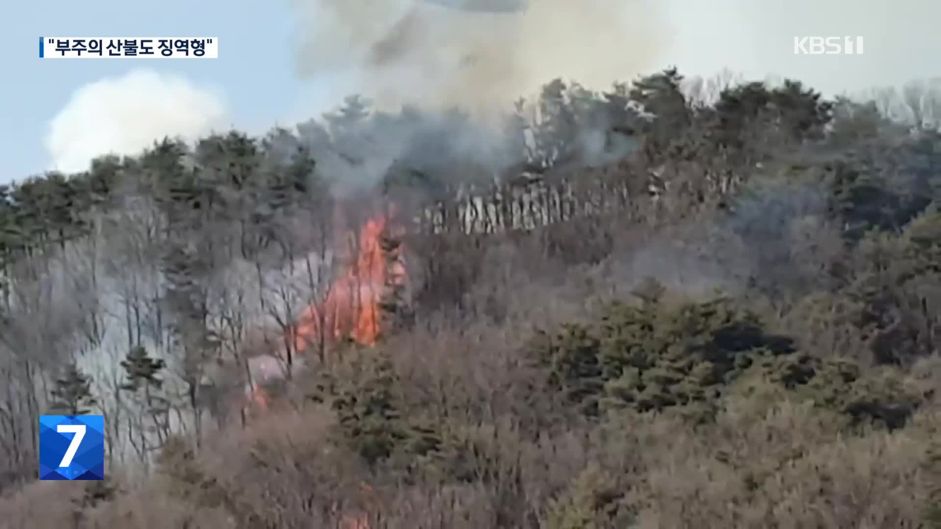 산불 유발 76명 검거…“부주의도 징역형”