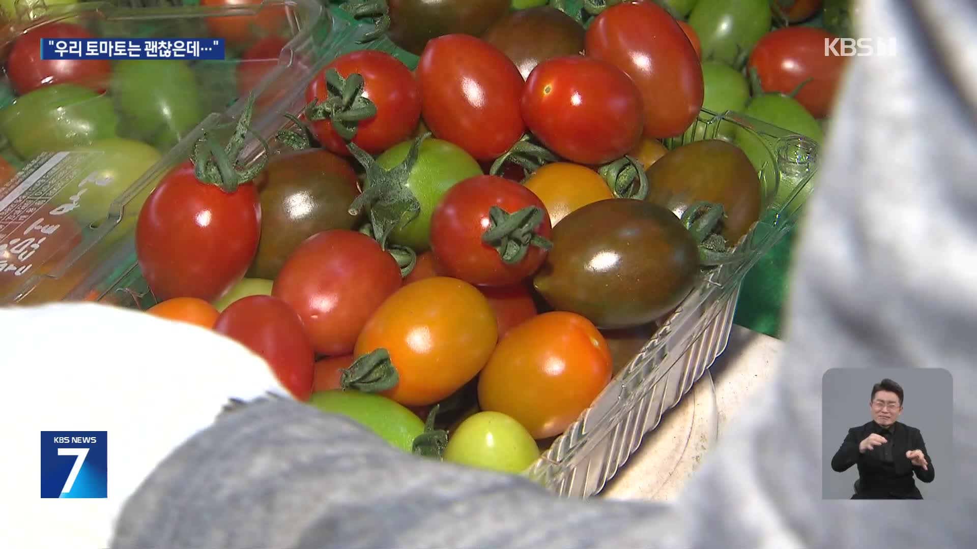 “우리 토마토는 괜찮은데”…‘토마틴 검출’ 농가에 불똥