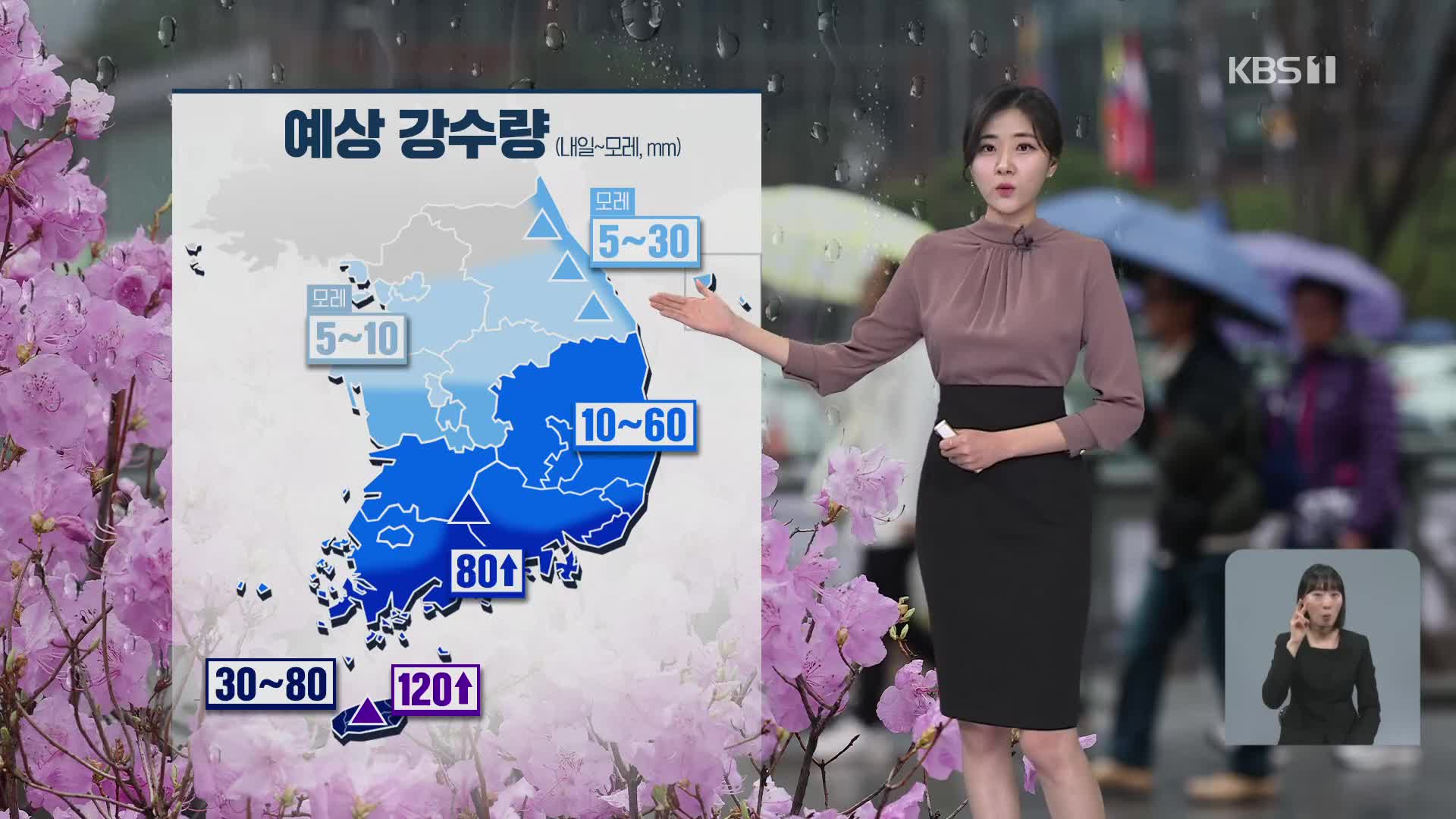 [퇴근길 날씨] 서울도 벚꽃 개화…내일 남부·제주부터 비