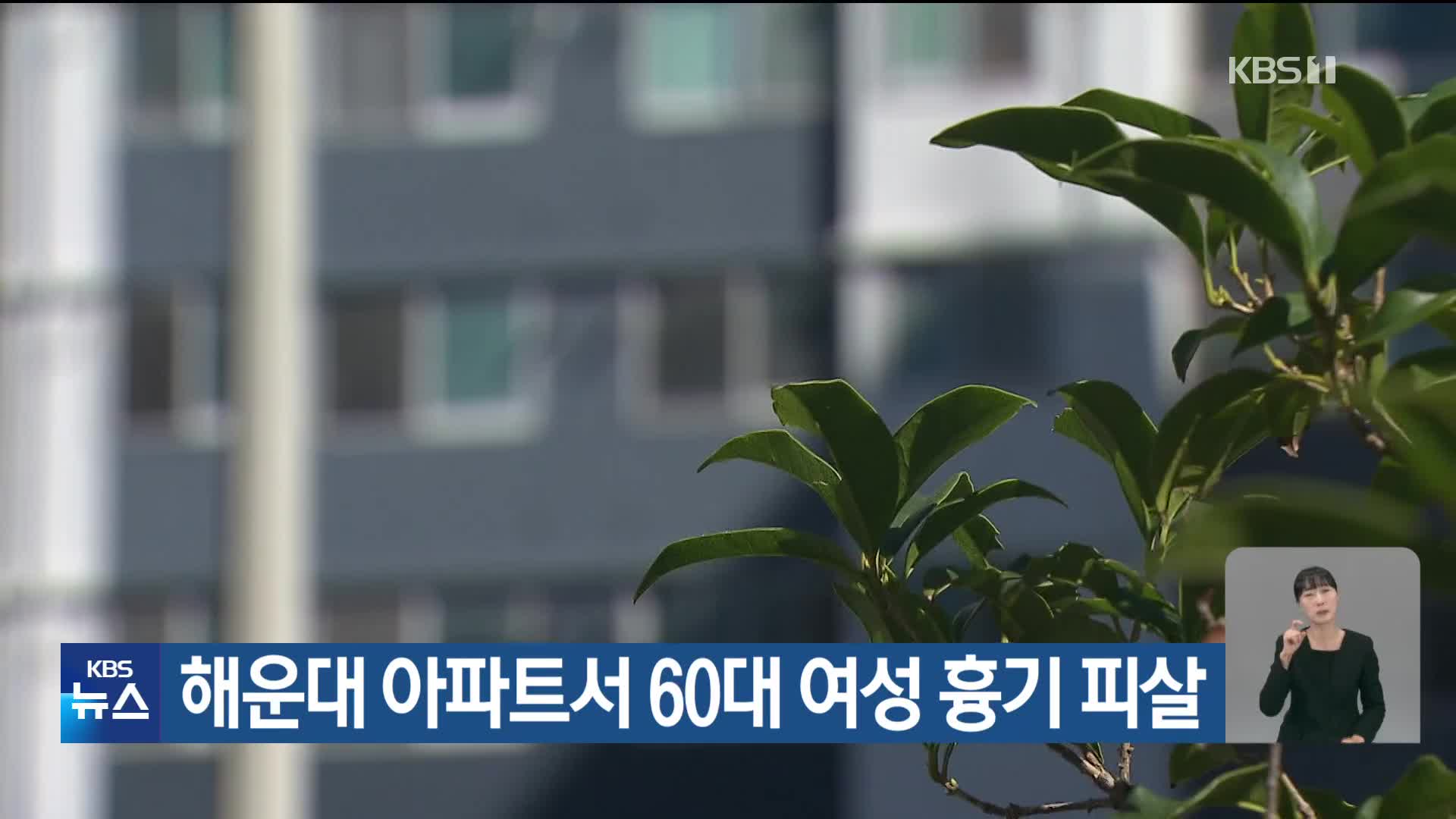 해운대 아파트서 60대 여성 흉기 피살