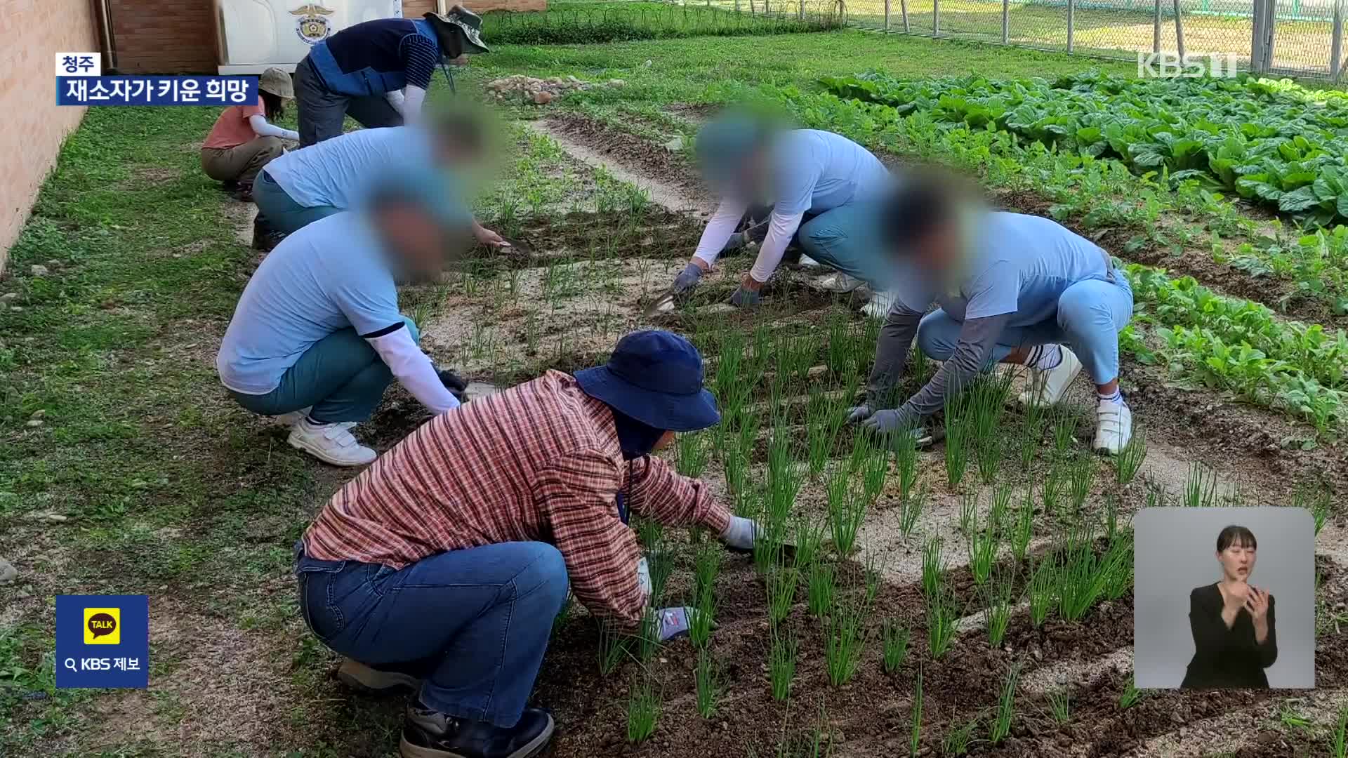 직접 가꾼 작물로 김장해 기부…교도소에서 피어난 희망