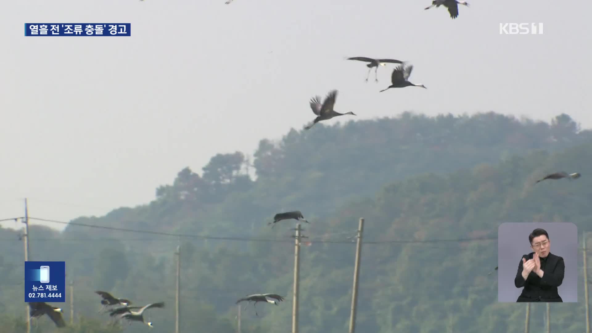 참사 열흘 전 경고했는데…조류 충돌 예방 조치 있었나?