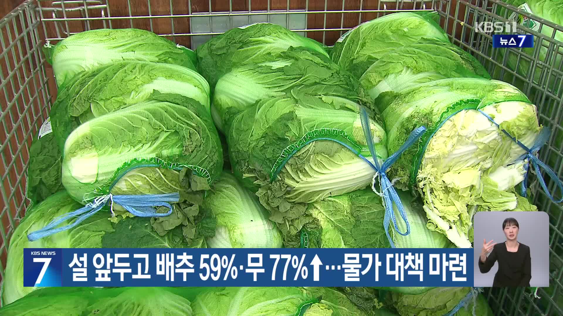 설 앞두고 배추 59%·무 77%↑…물가 대책 마련