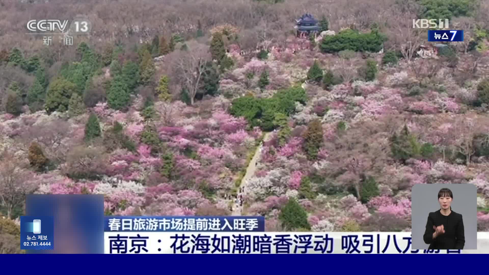 중국, 완연한 봄기운에 곳곳 상춘 인파