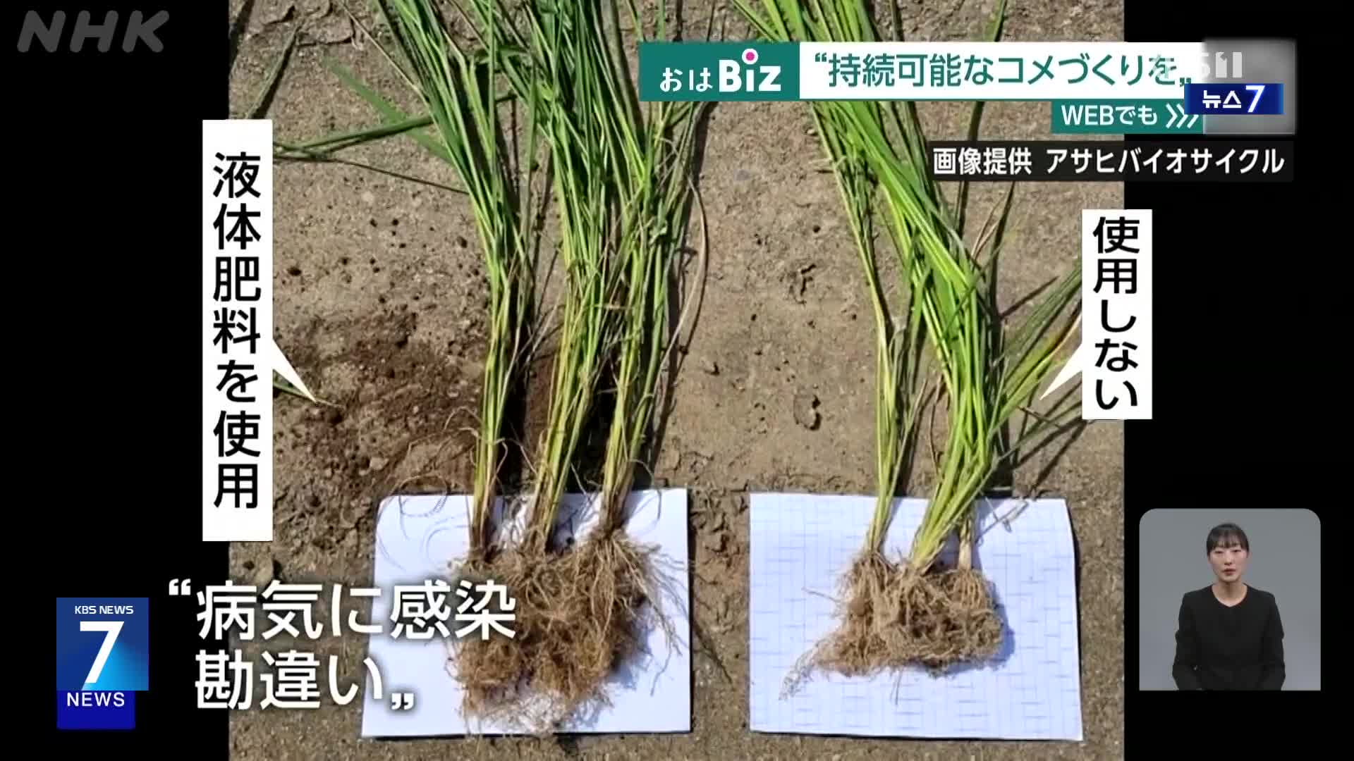 일본, 일손 부족에 맞선 실험 ‘물 안 대는 논’