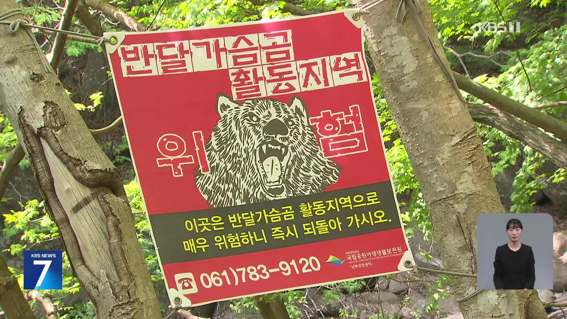 반달가슴곰 활동 본격화…등산객 주의할 점은?