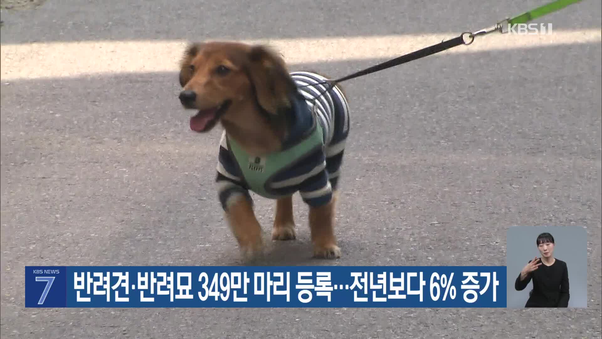 반려견·반려묘 349만 마리 등록…전년보다 6% 증가