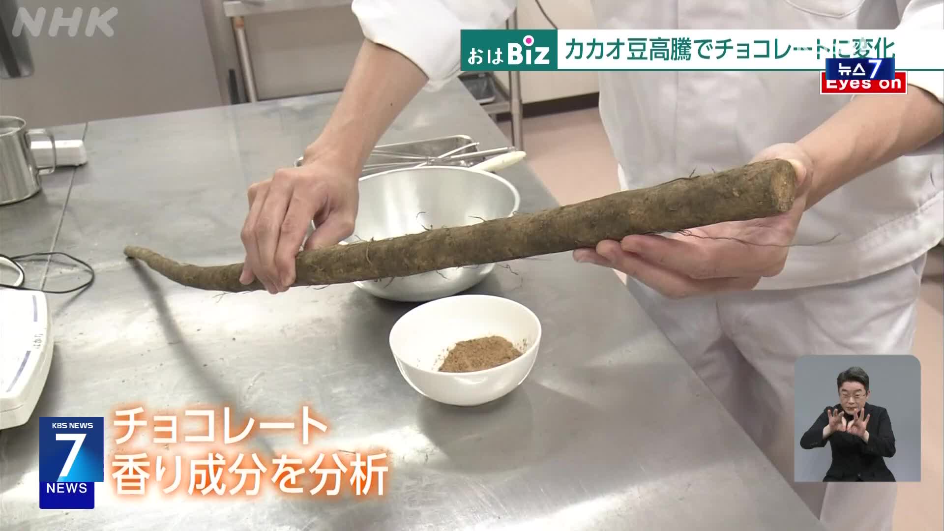일본, 카카오 대신 우엉? 식품업계의 생존 실험