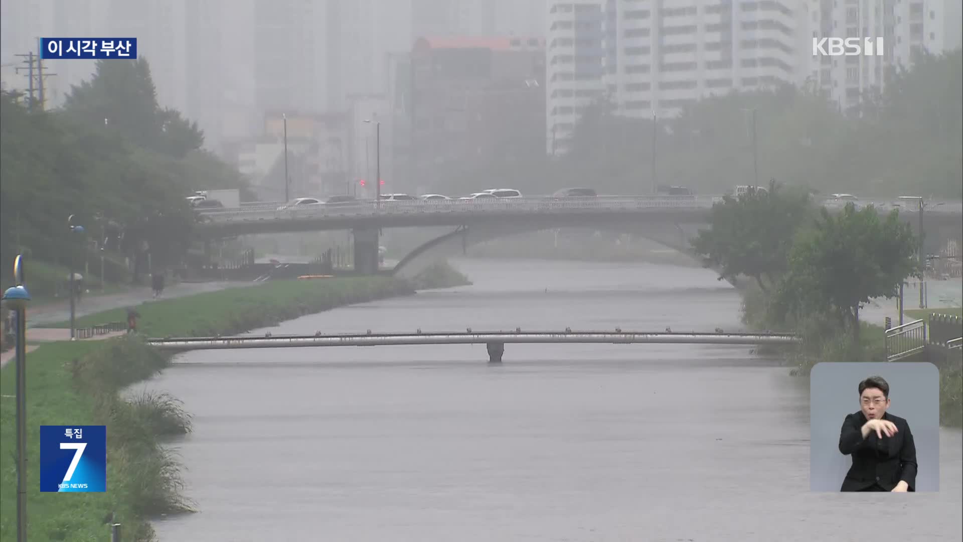 내일까지 최대 300mm…이 시각 부산