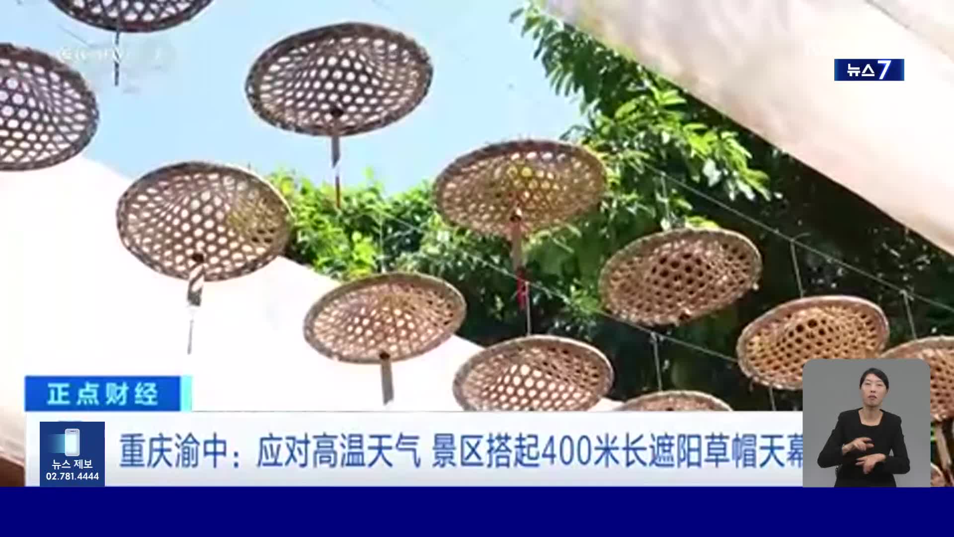중국, 충칭의 여름 명소…400m 대나무 삿갓 길