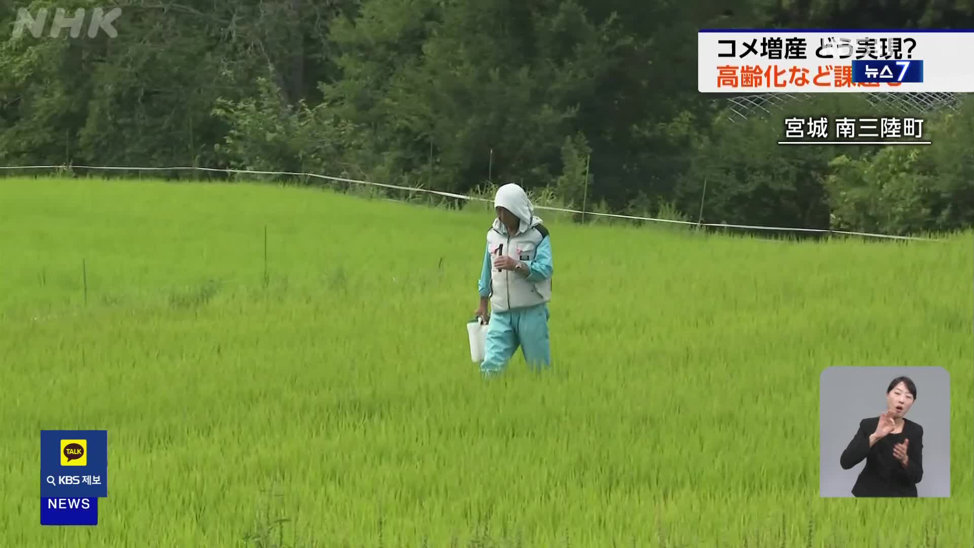 일본, 쌀값 폭등에 쌀 생산 억제서 증산으로