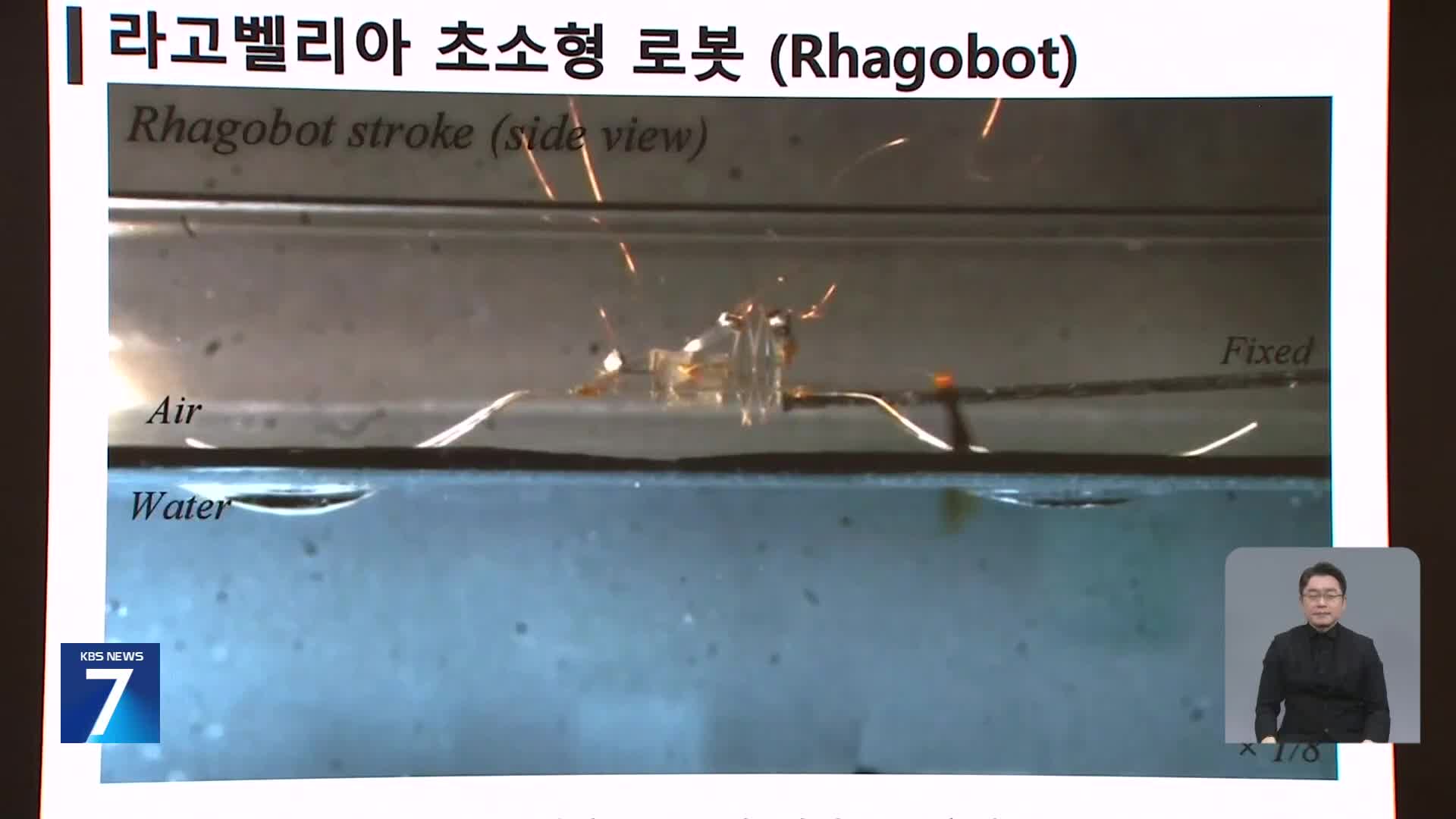 ‘소금쟁이 이동 원리’ 세계 최초 규명해 초소형 로봇 제작…“재난 시 활용”