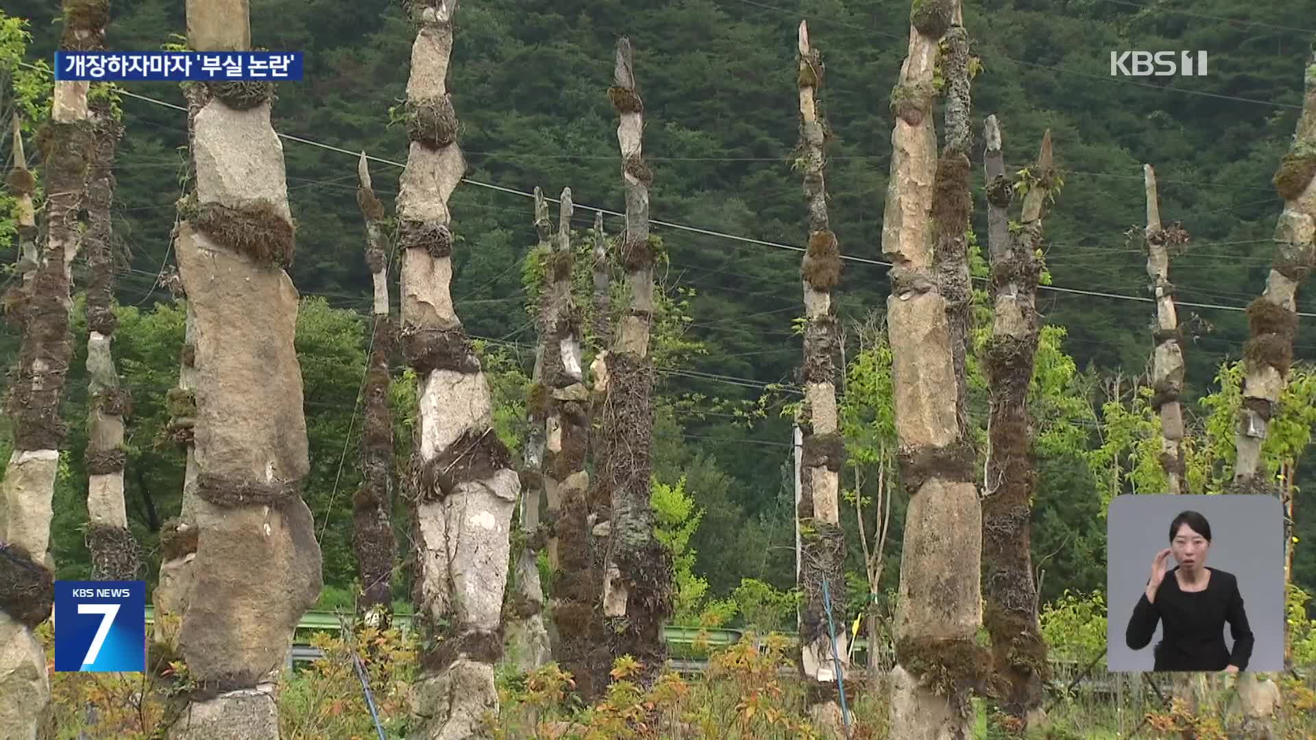4억여 원 들여 꾸몄더니…한 달 만에 고사한 ‘석부작’