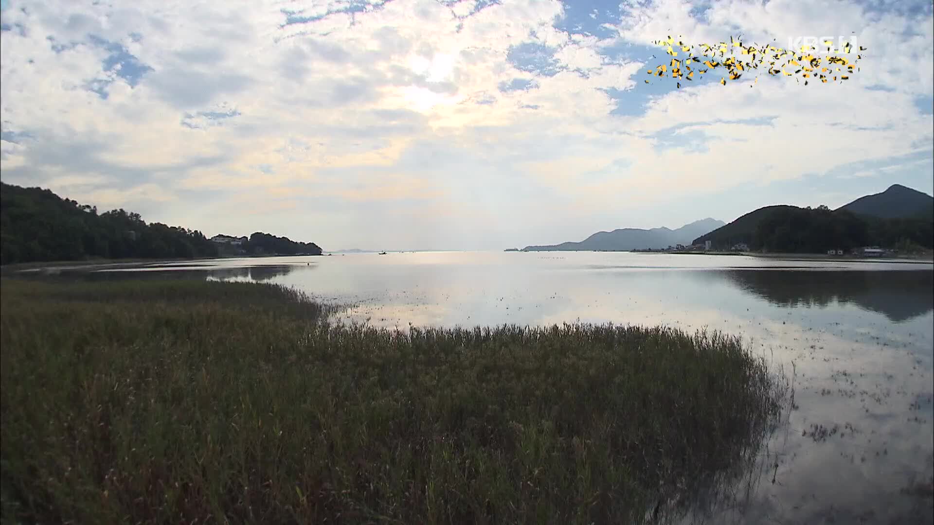 [뉴스광장 영상] 갯벌 위의 술래잡기