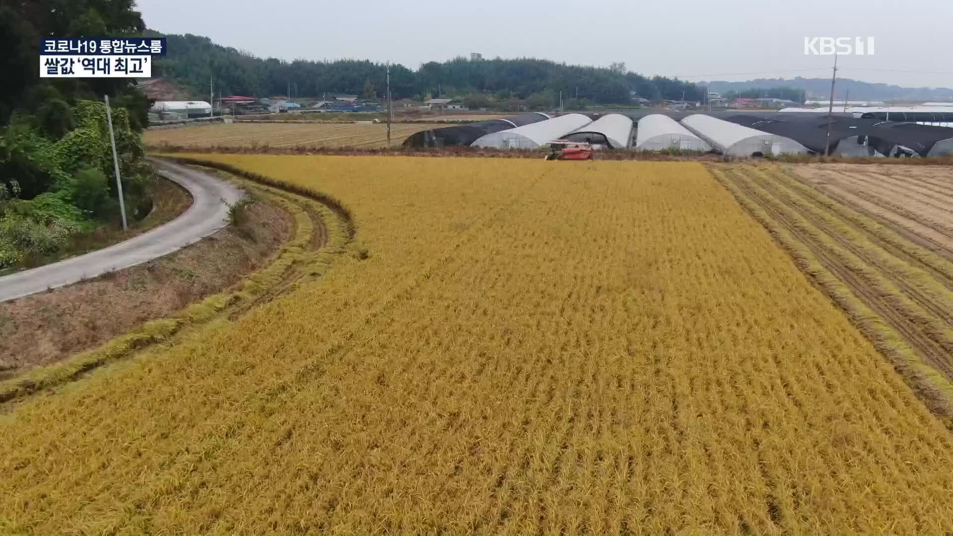 생산량 감소로 산지 쌀값 ‘역대 최고’