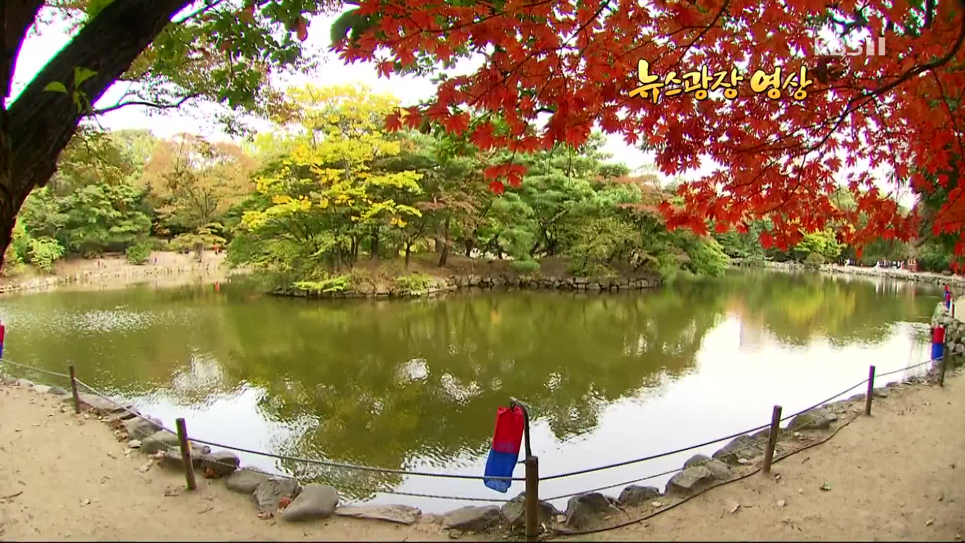 [뉴스광장 영상] 가을에 물든 춘당지