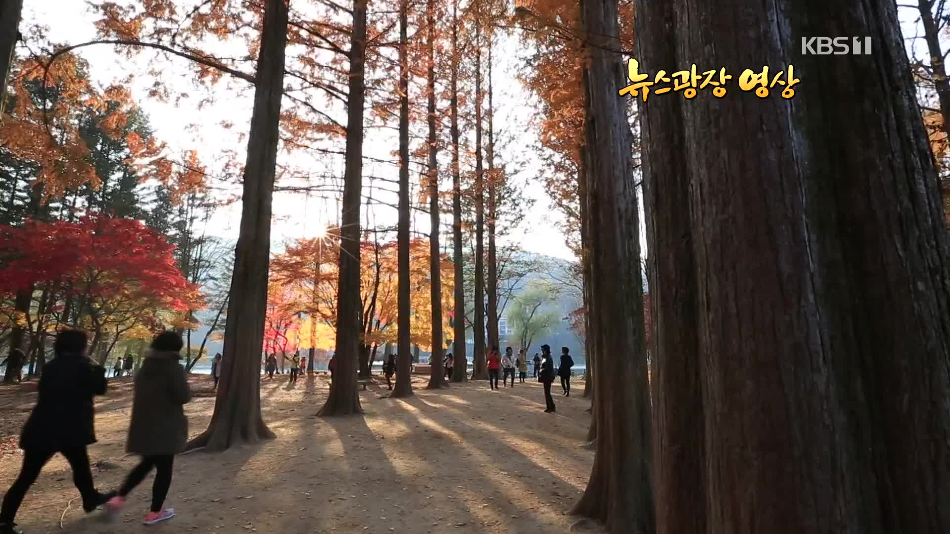 [뉴스광장 영상] 가을을 보내며