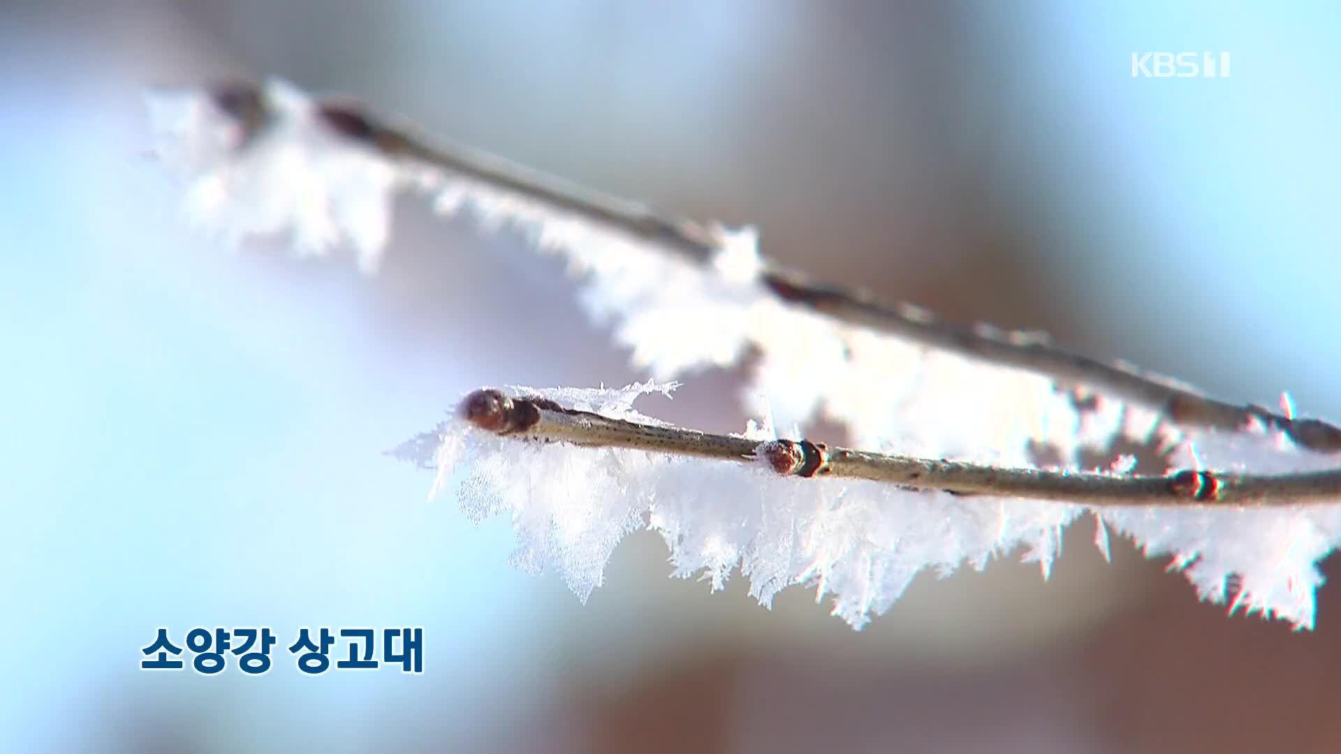 [뉴스광장 영상] 소양강 상고대