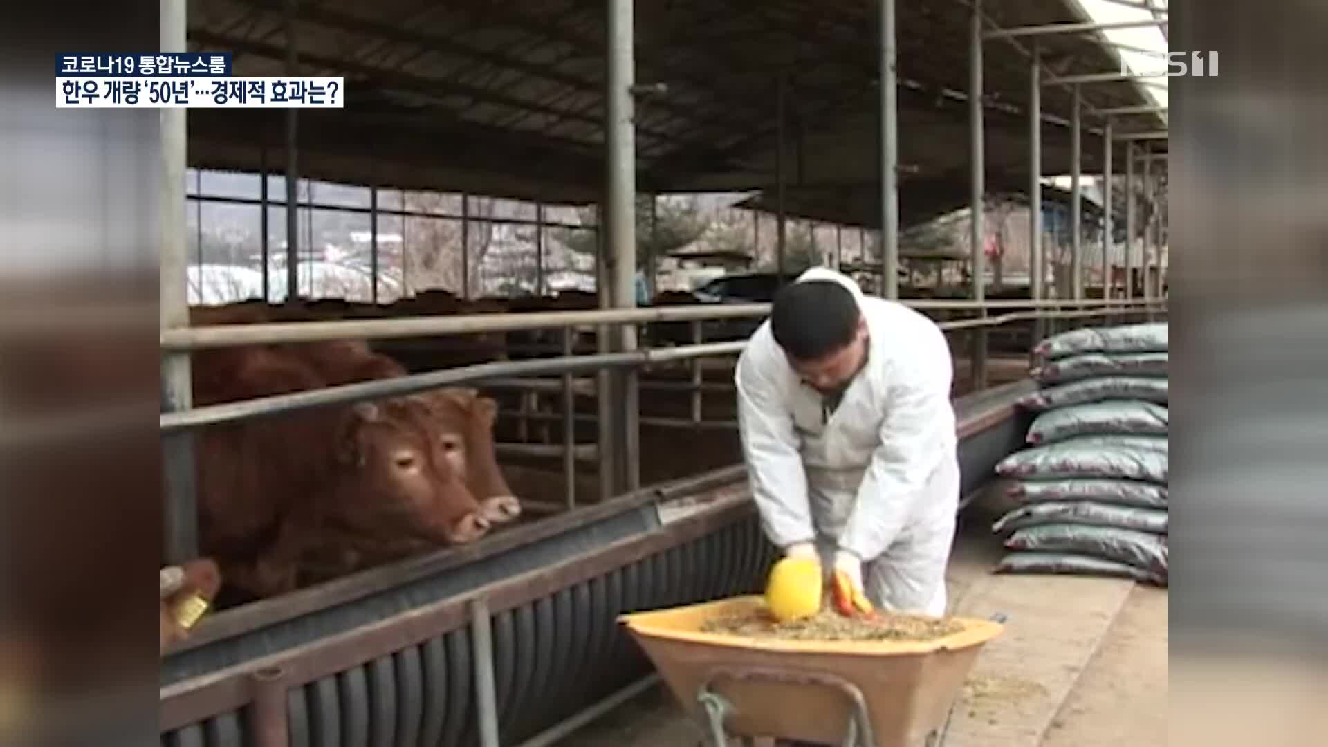 ‘신축년 소의 해’…한우 개량 50년만에 체중 2배 ↑·품질 8배 ↑