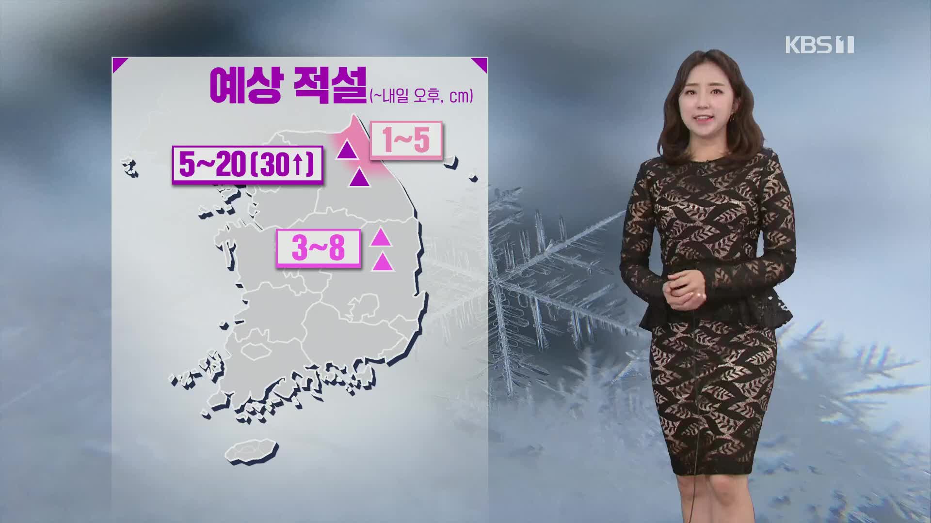 [날씨] 남부·동해안 비나 눈…강원 산지 최고 30cm 폭설