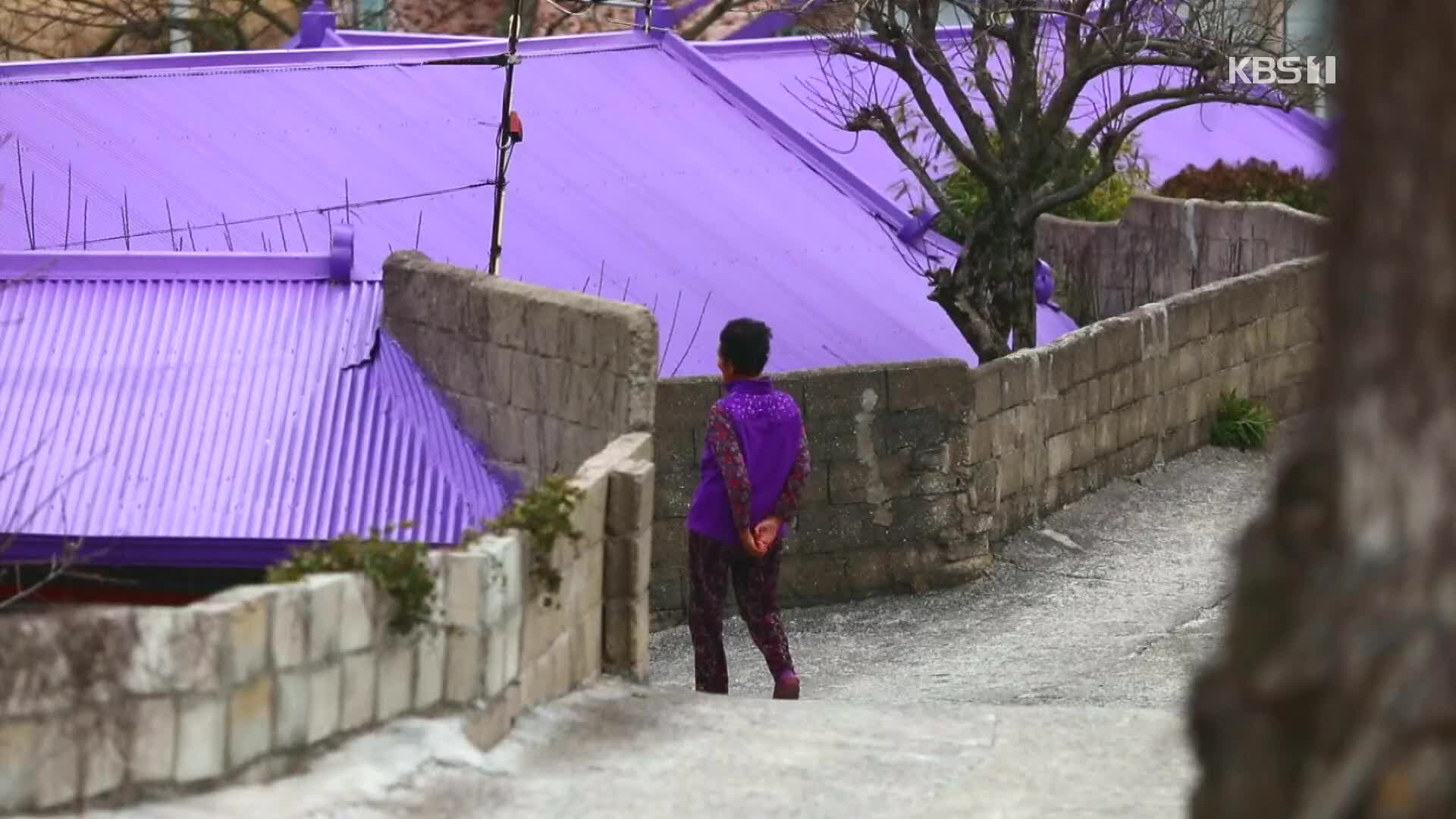 [뉴스광장 영상] 보라마을