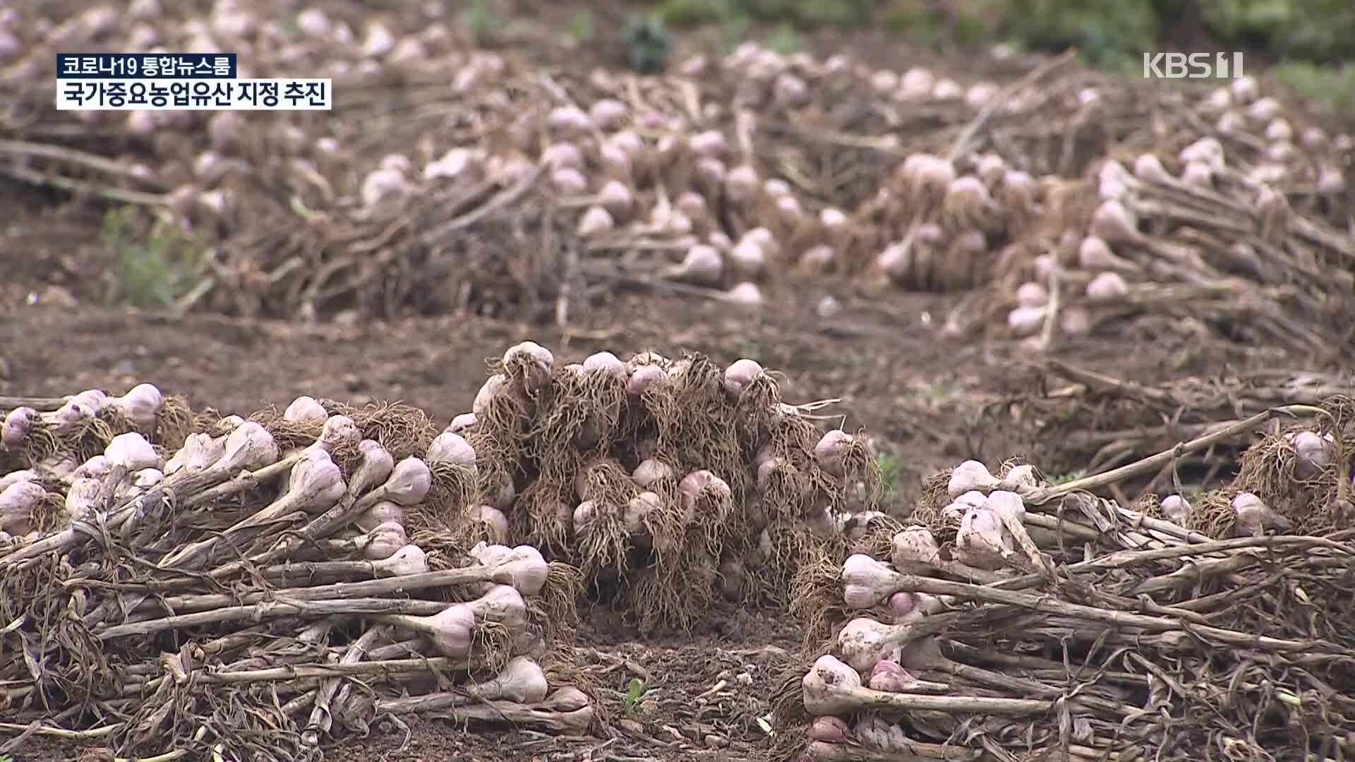 마늘섬 가의도…국가중요농업유산 신청 추진