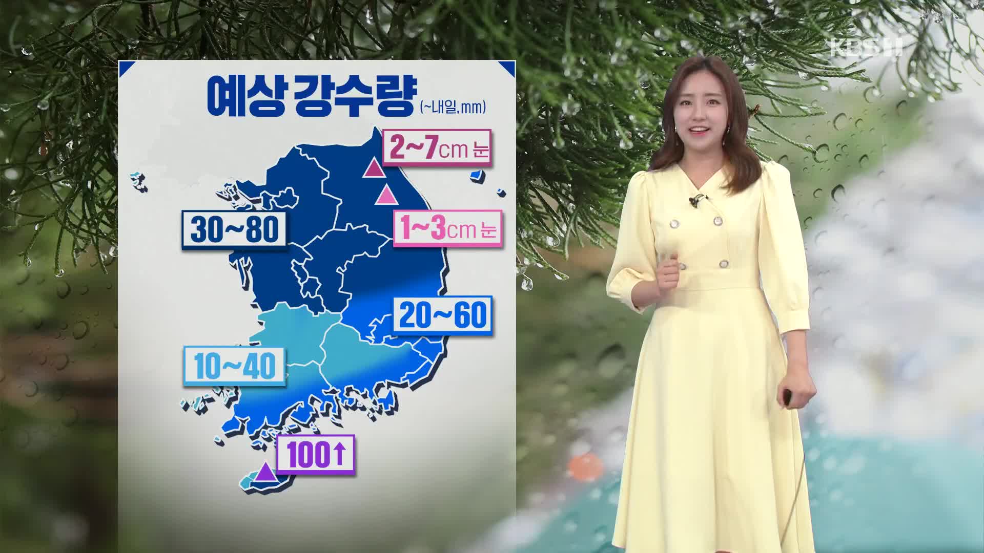 [광장 날씨] 전국 많은 비, 중부·경북 최고 80mm