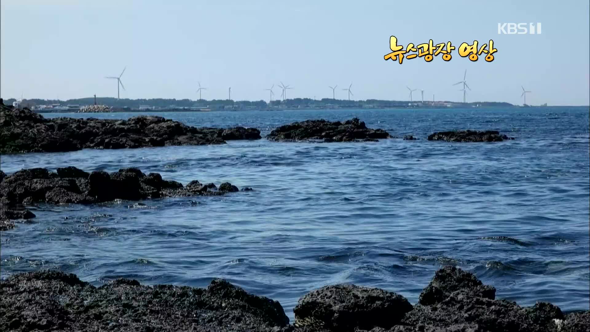 [뉴스광장 영상] 제주 봄 바다