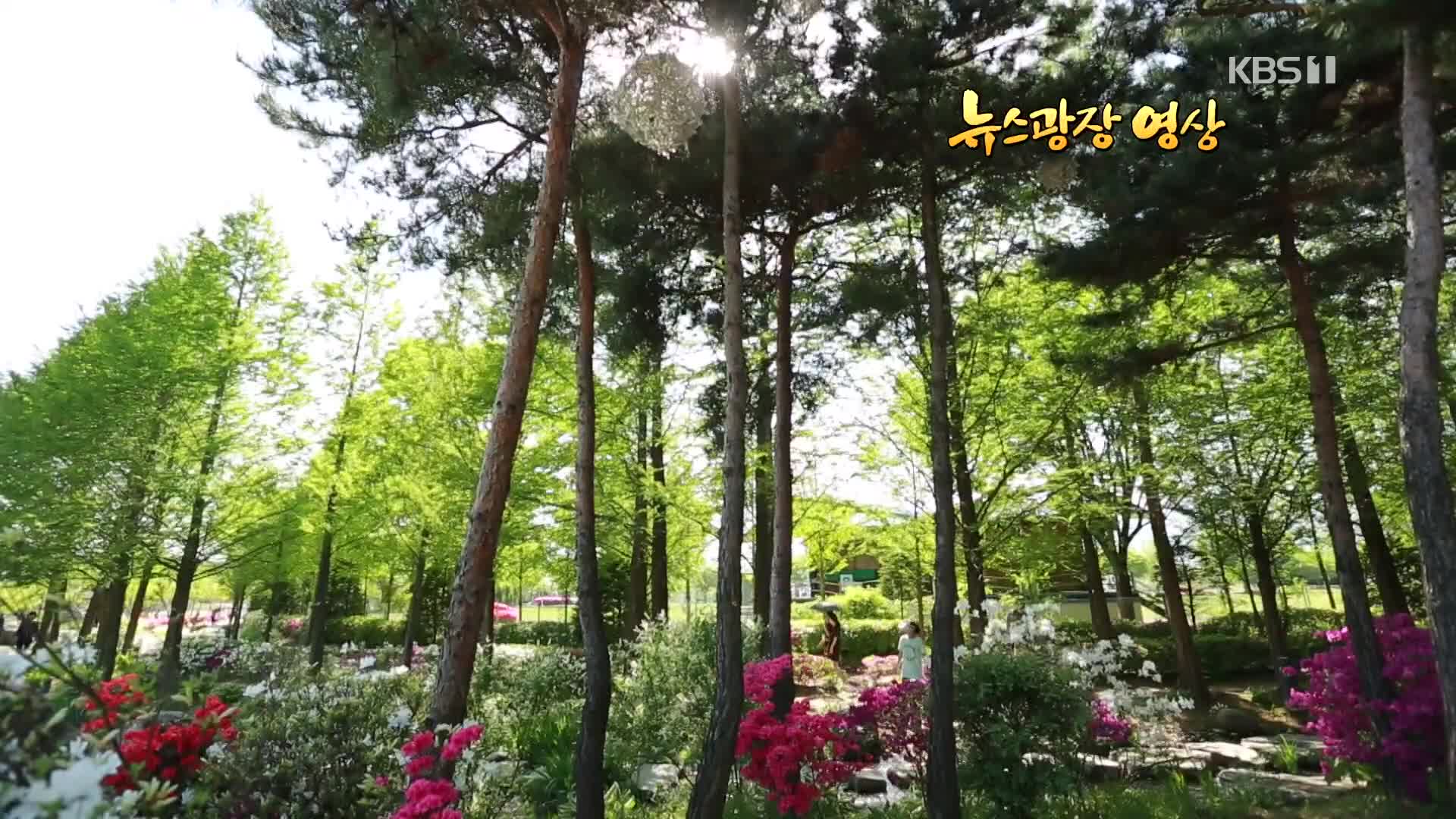 [뉴스광장 영상] 5월의 정원