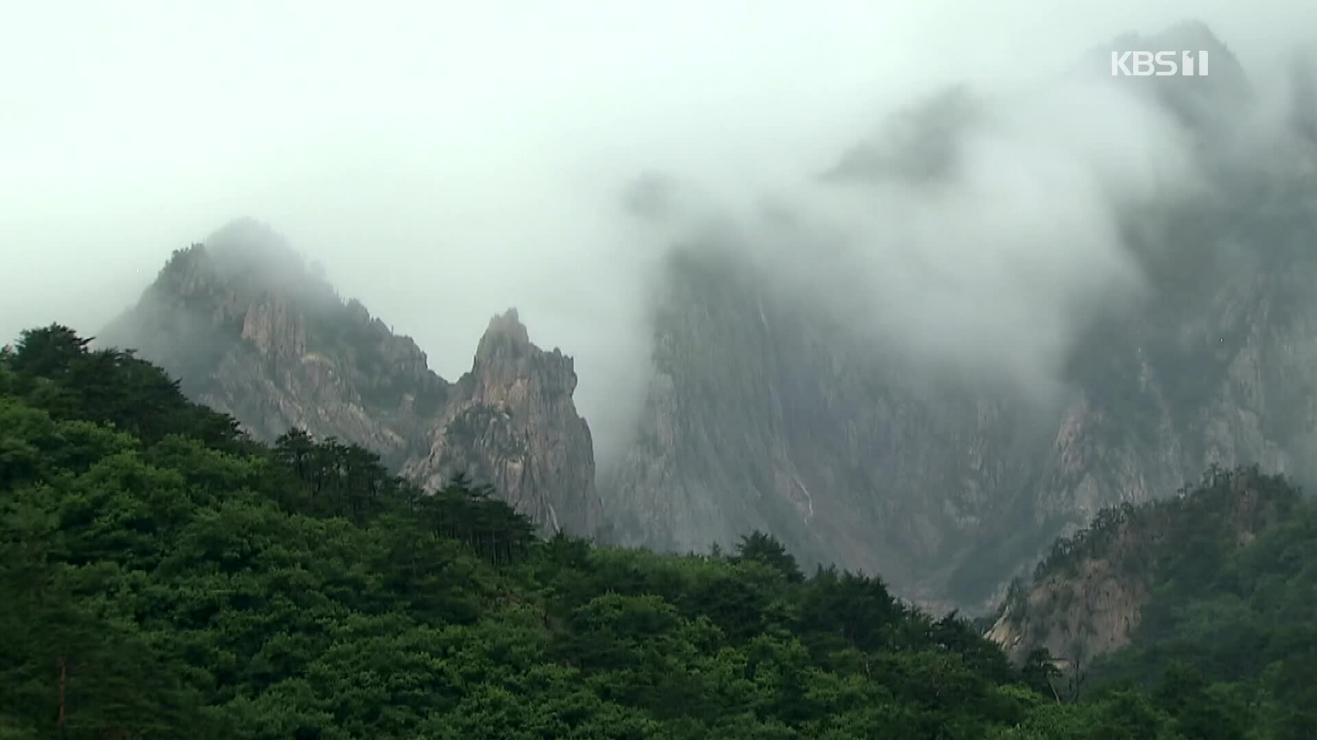 [뉴스광장 영상] 비 내린 설악산
