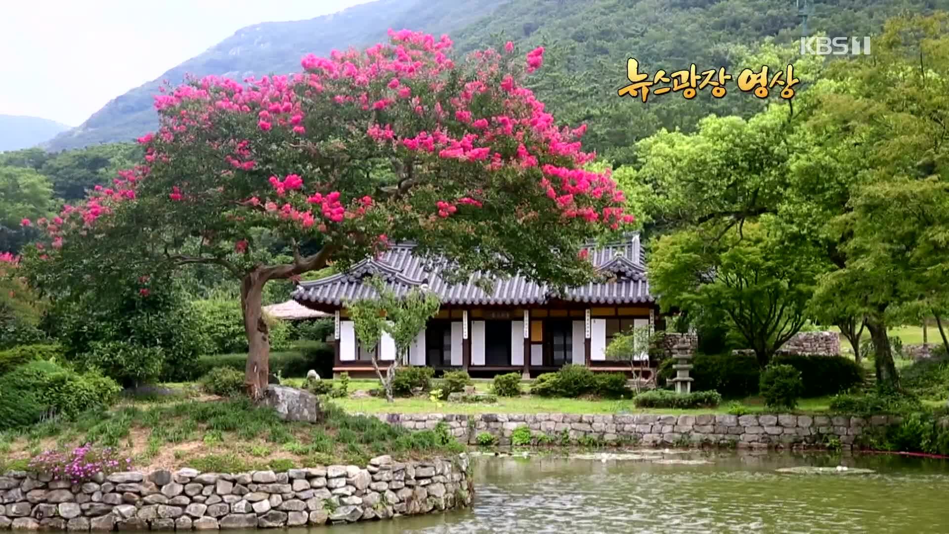 [뉴스광장 영상] 운림산방