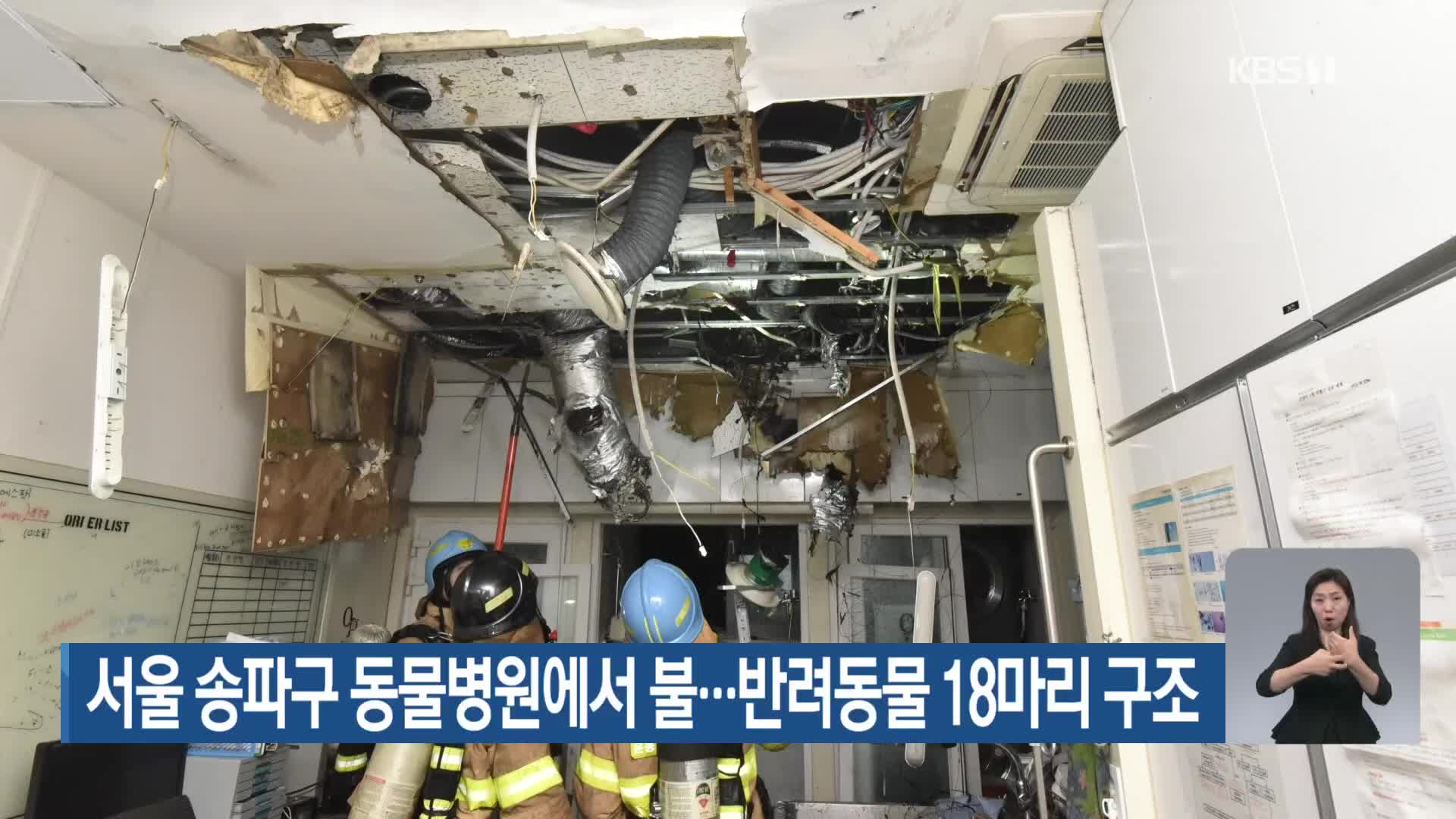 서울 송파구 동물병원에서 불…반려동물 18마리 구조