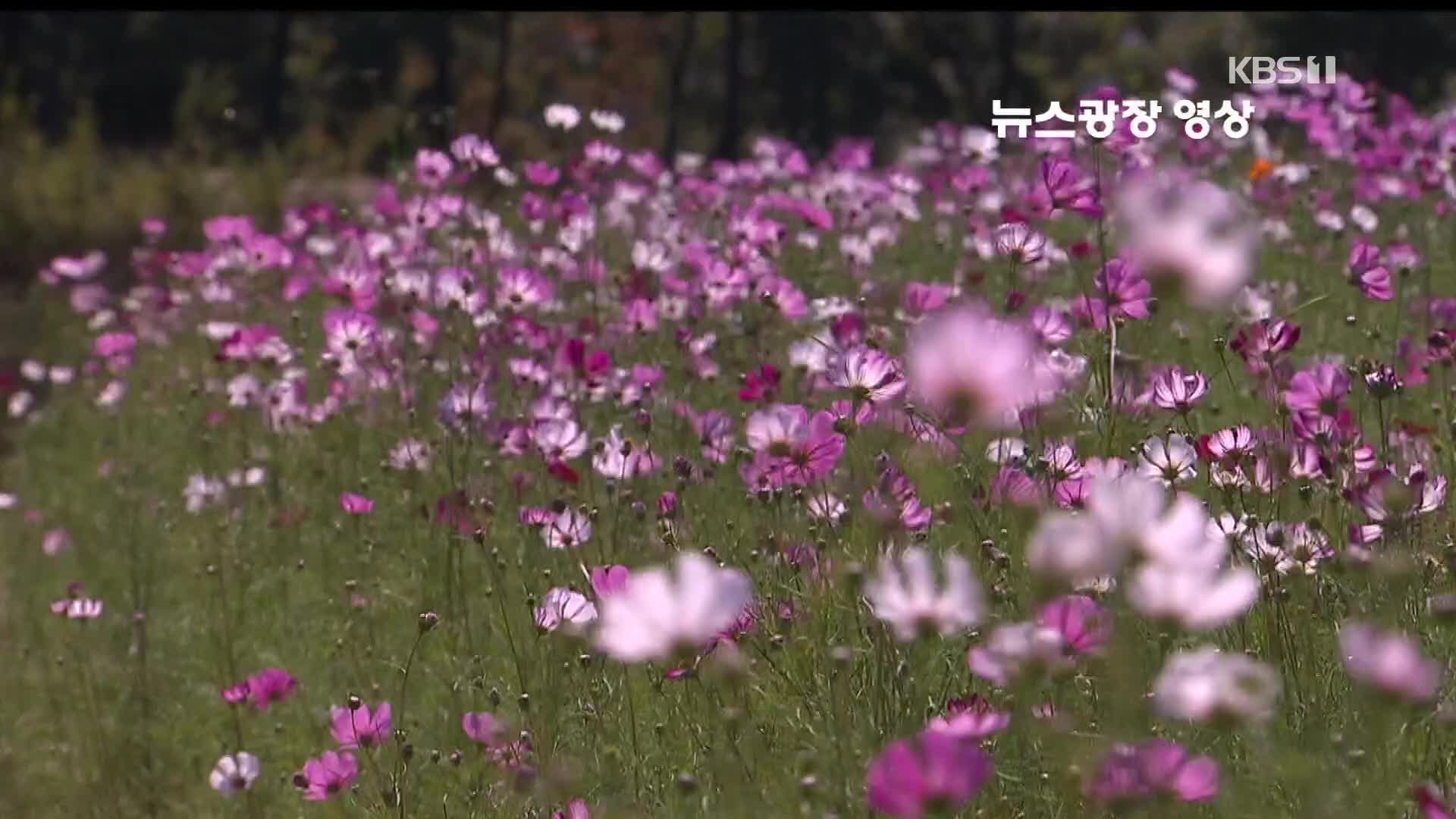 [뉴스광장 영상] 인천공항 하늘정원