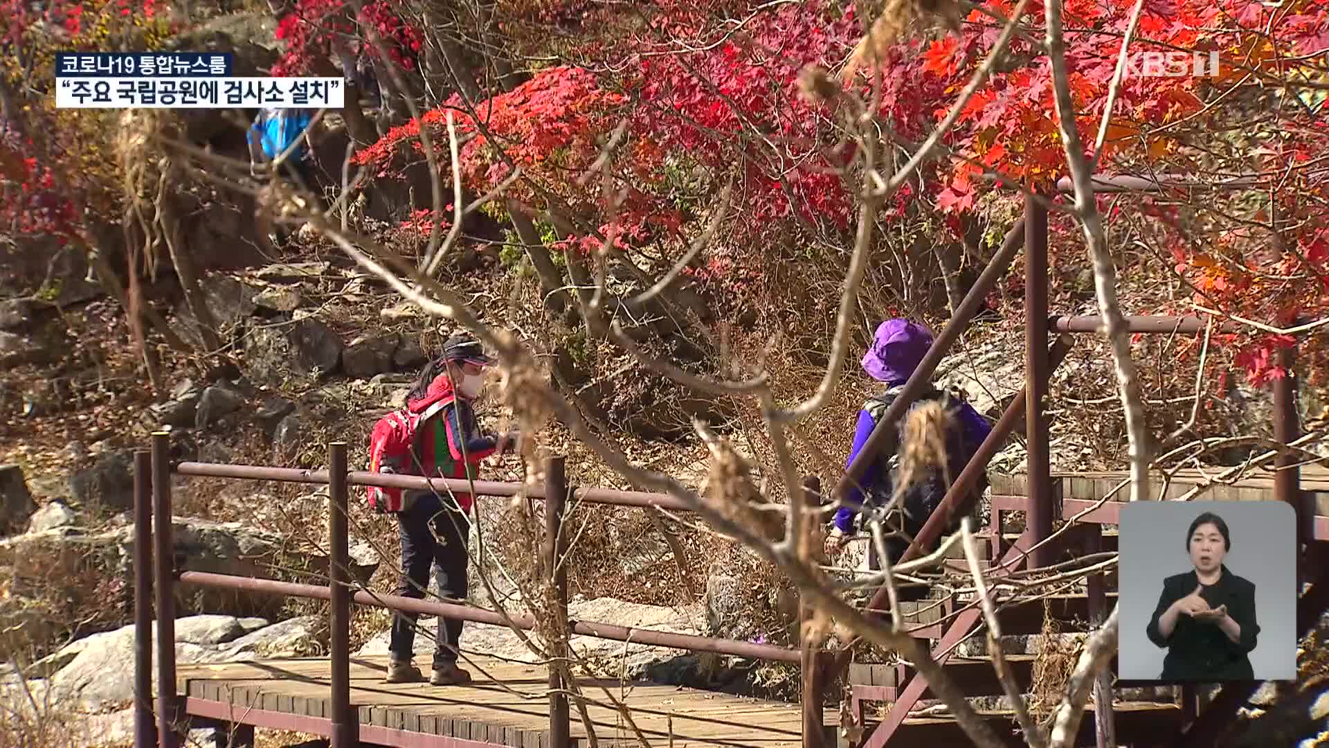 “장거리·단체여행 5주간 자제”…단풍철 국립공원 임시검사소 설치