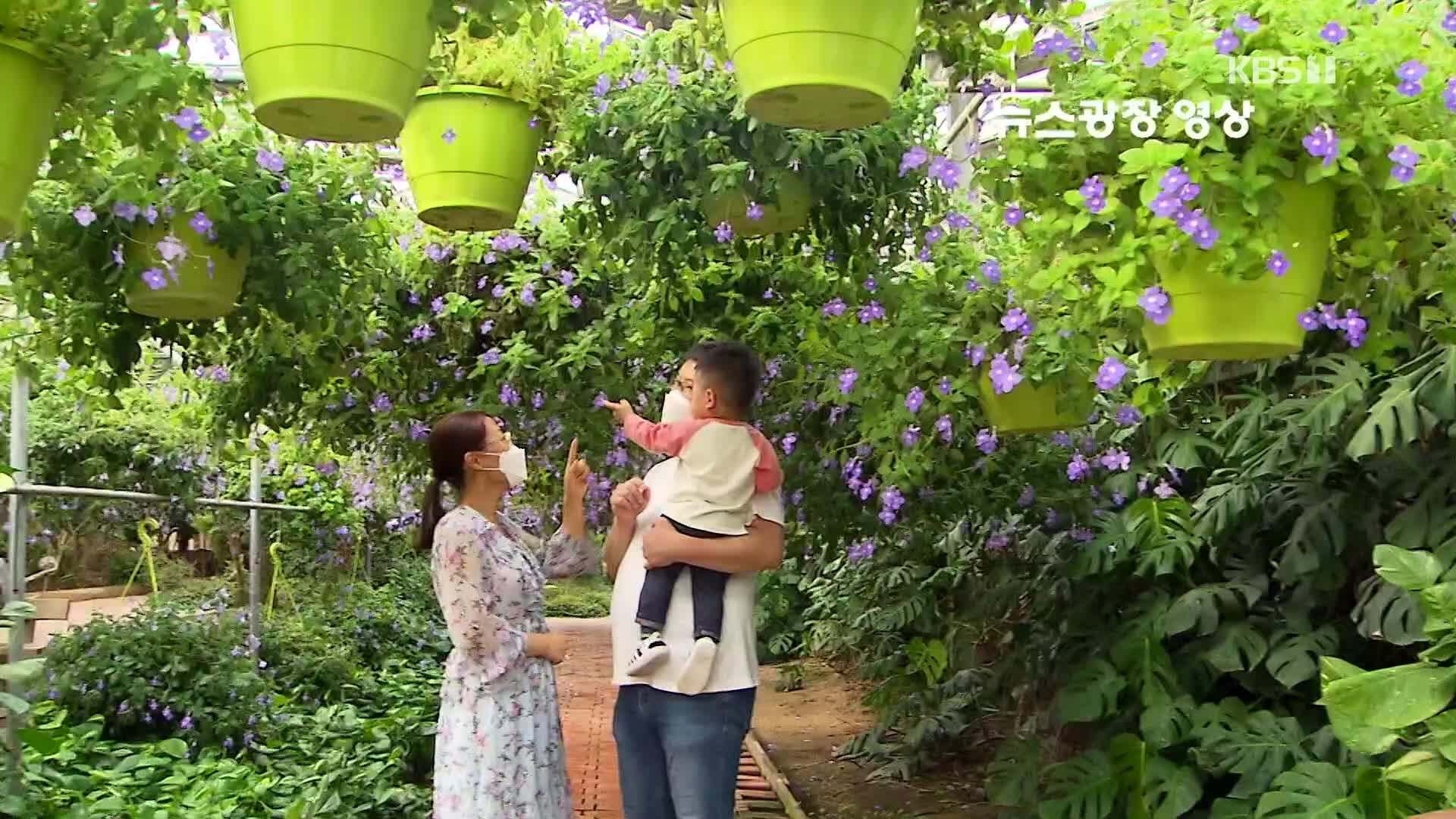 [뉴스광장 영상] 세계꽃식물원