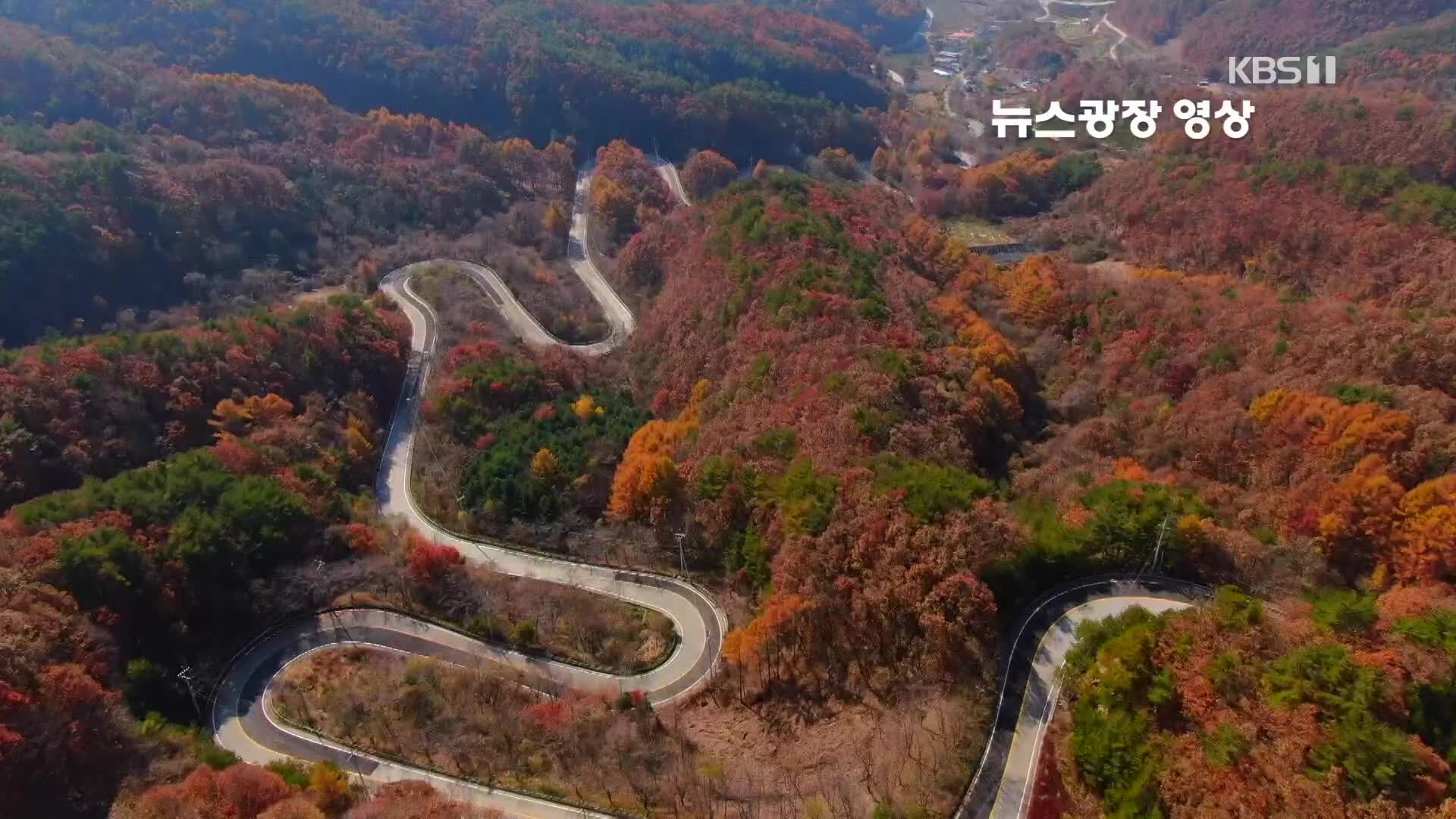 [뉴스광장 영상] 민주지산 도마령