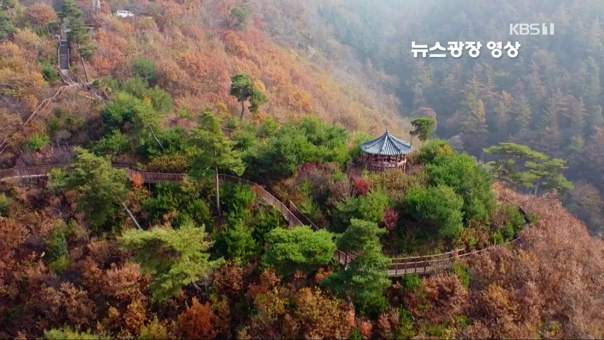 [뉴스광장 영상] 석포숲공원