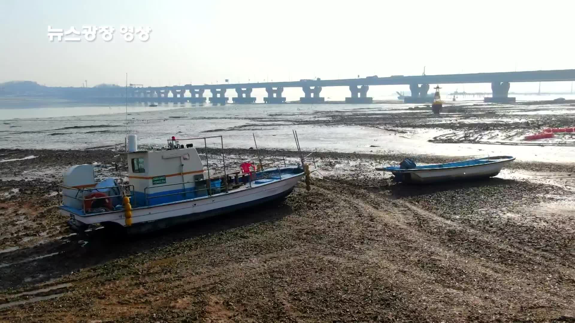 [뉴스광장 영상] 서해대교와 갯벌